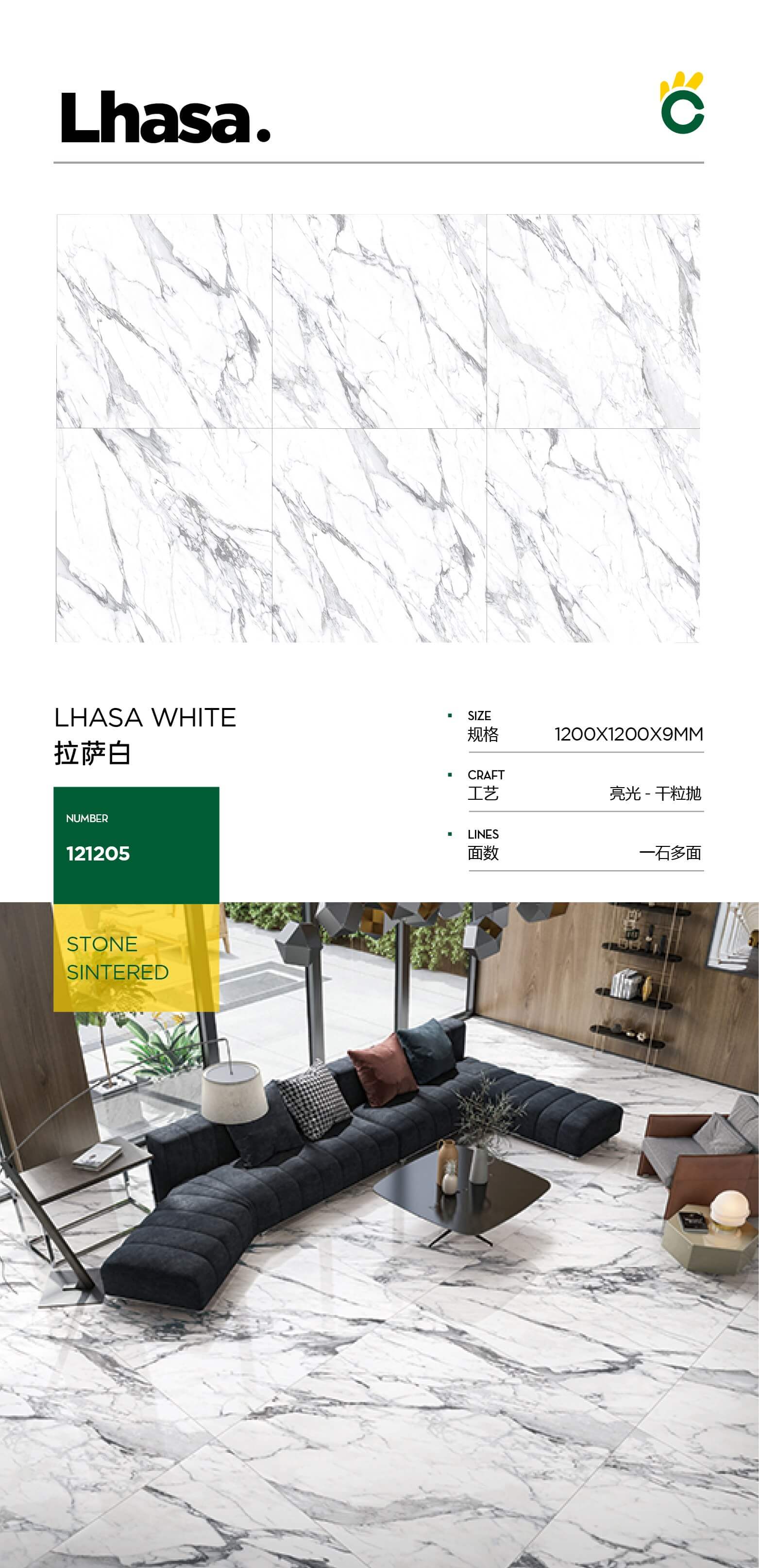 Lhasa White