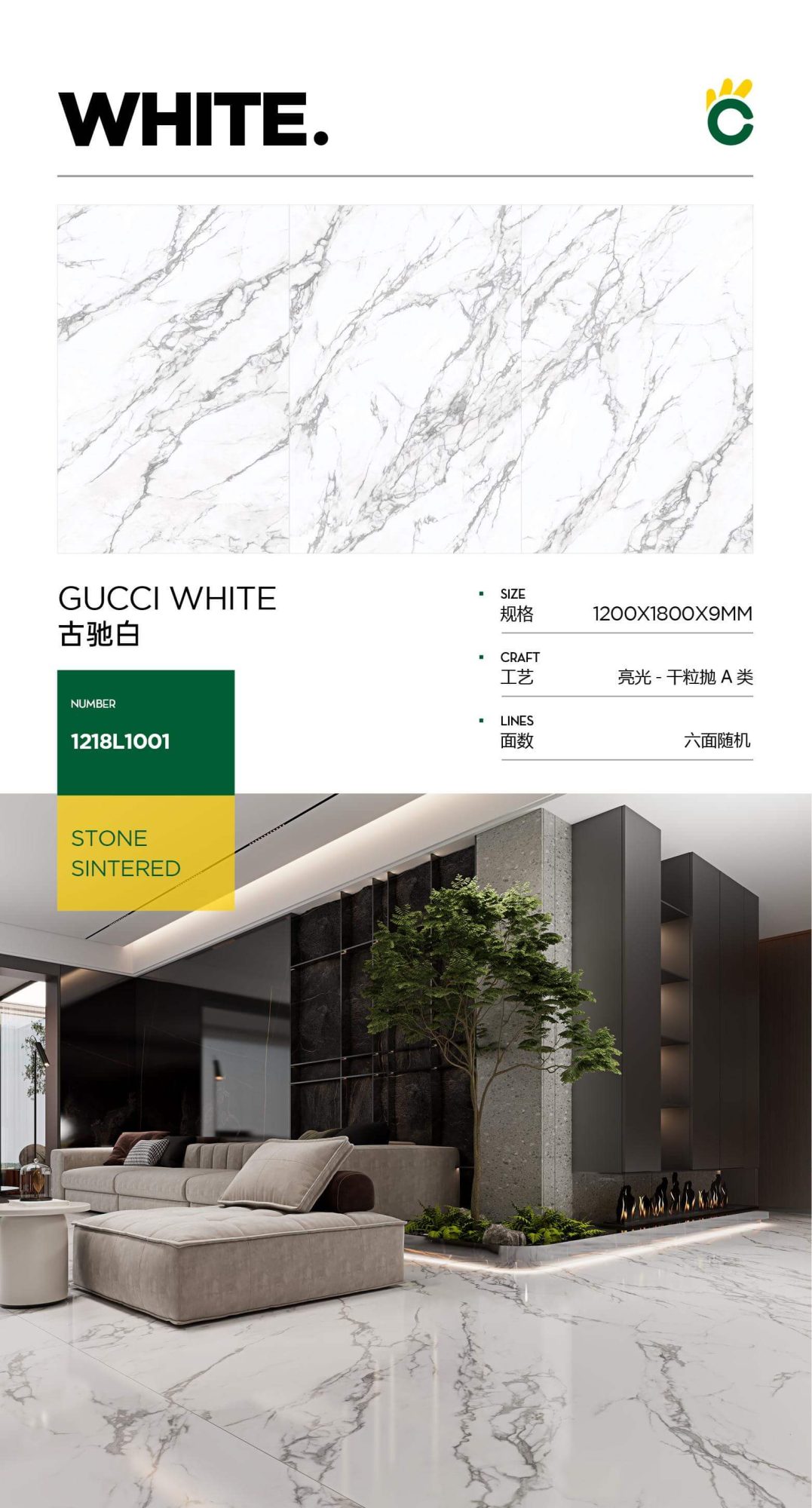 gucci white