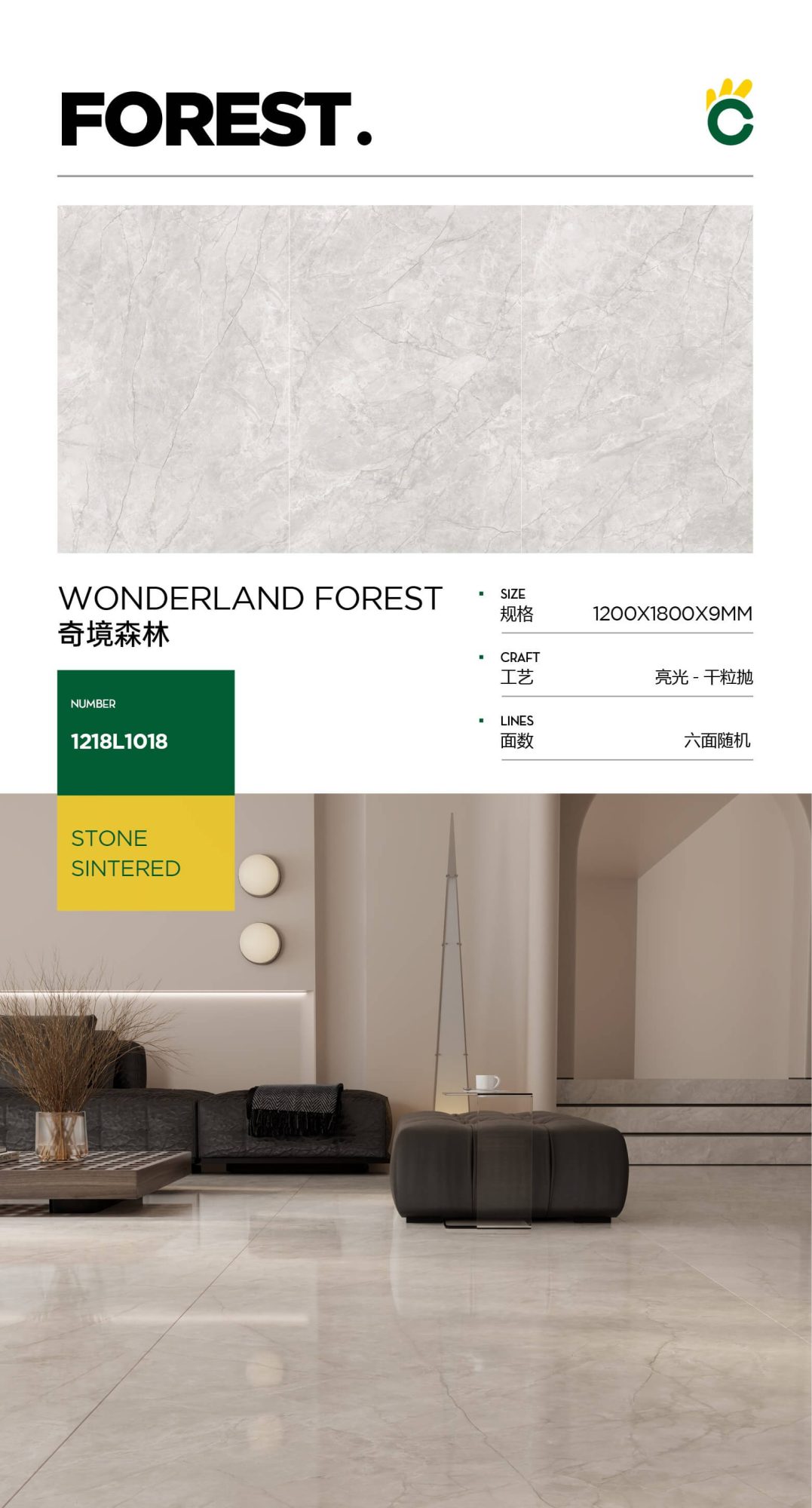 Wonderland Forest