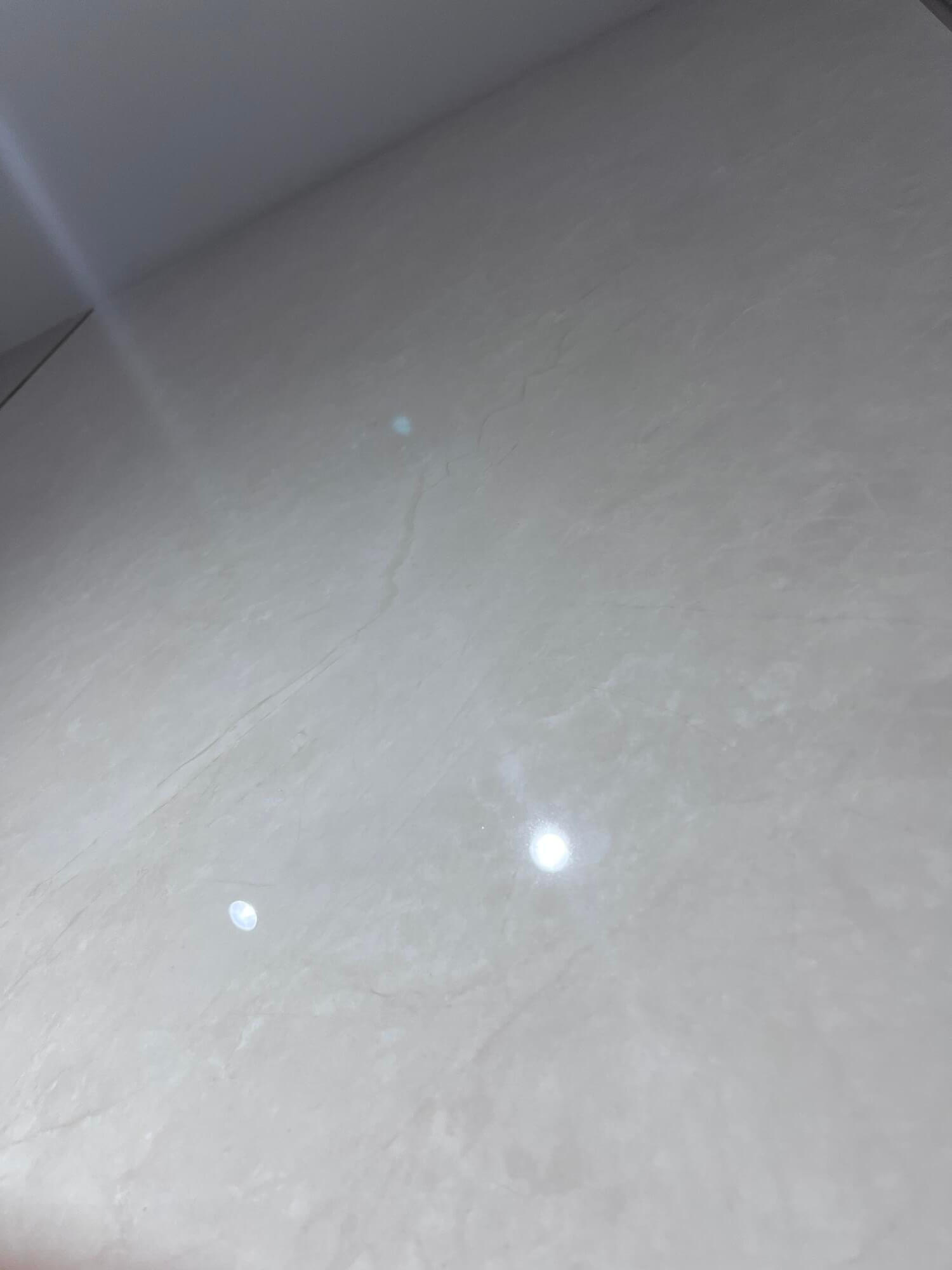 tea white ash 1218L1063 image 2