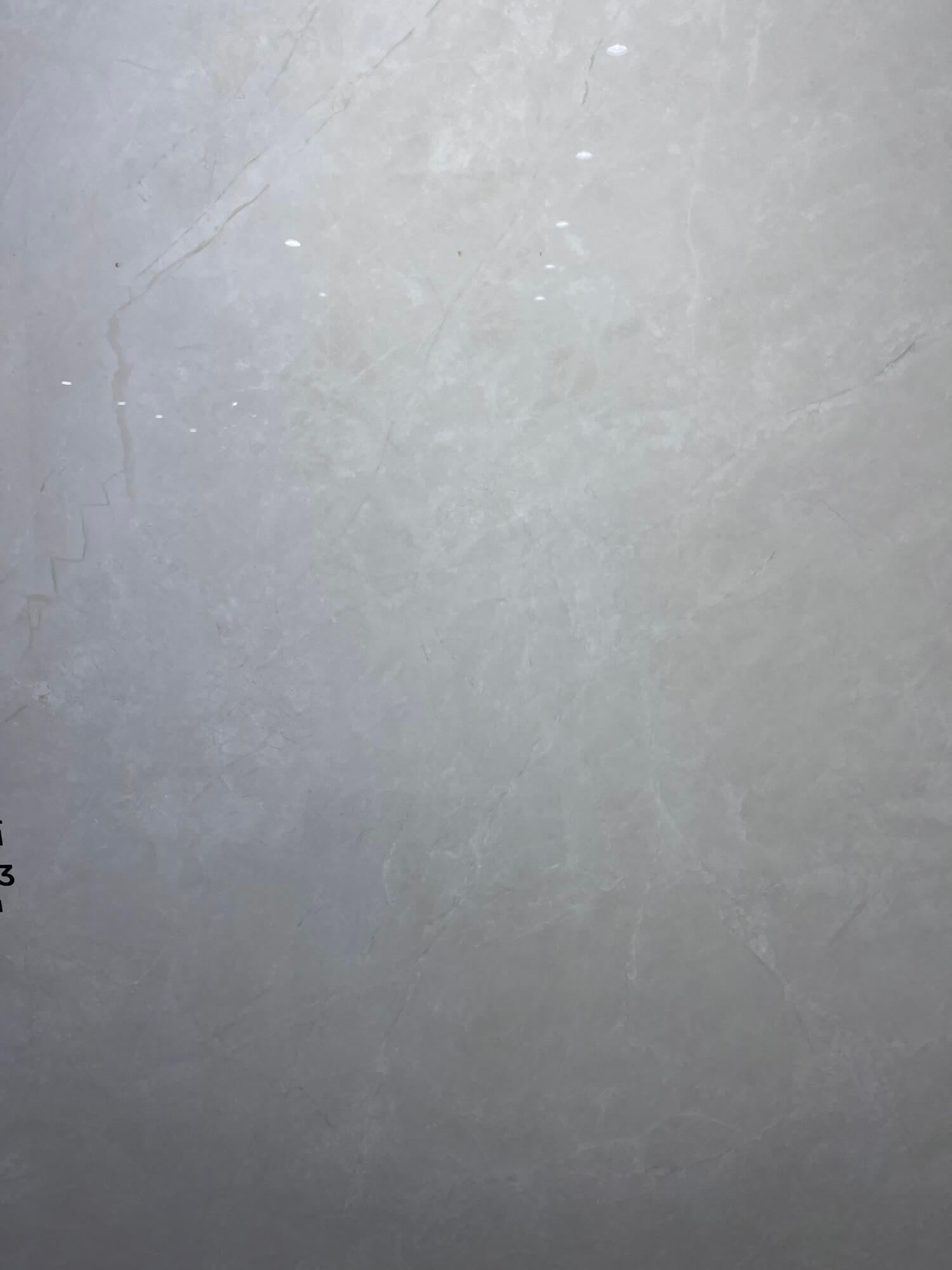 tea white ash 1218L1063 image 4