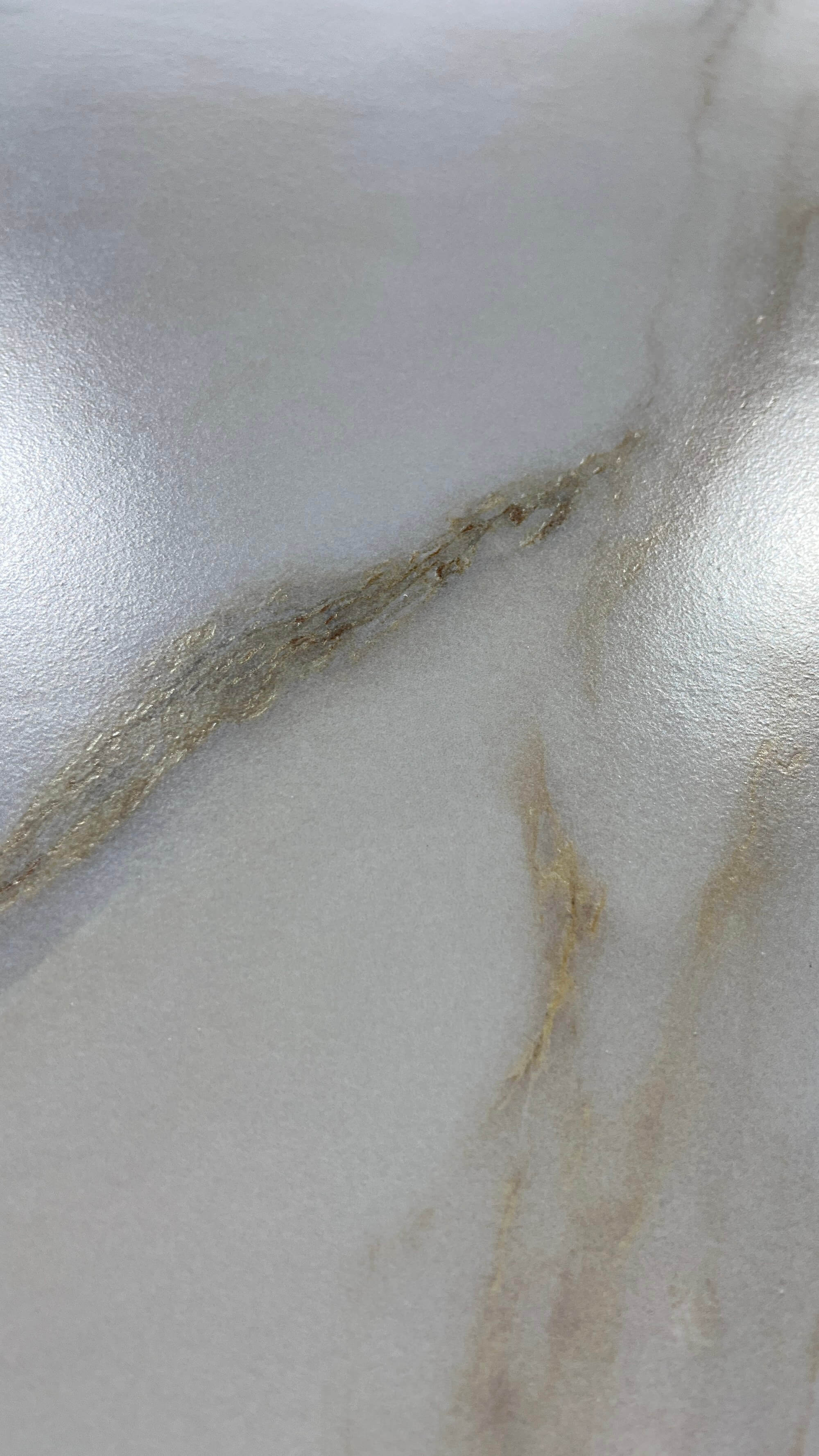 Top quality fish maw gold 122410WR948 image 4