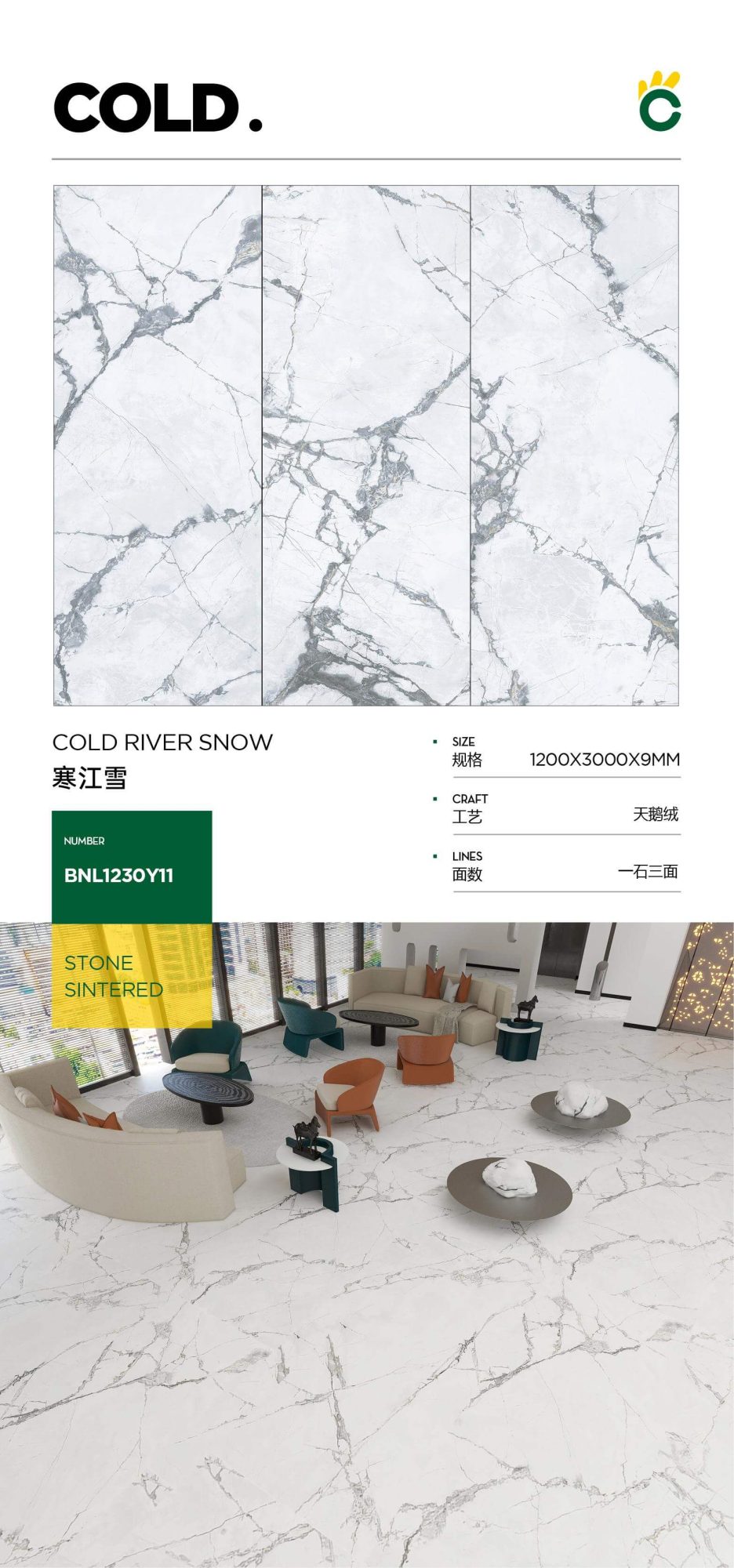 Han Jiangxue 1230Y11 image 1