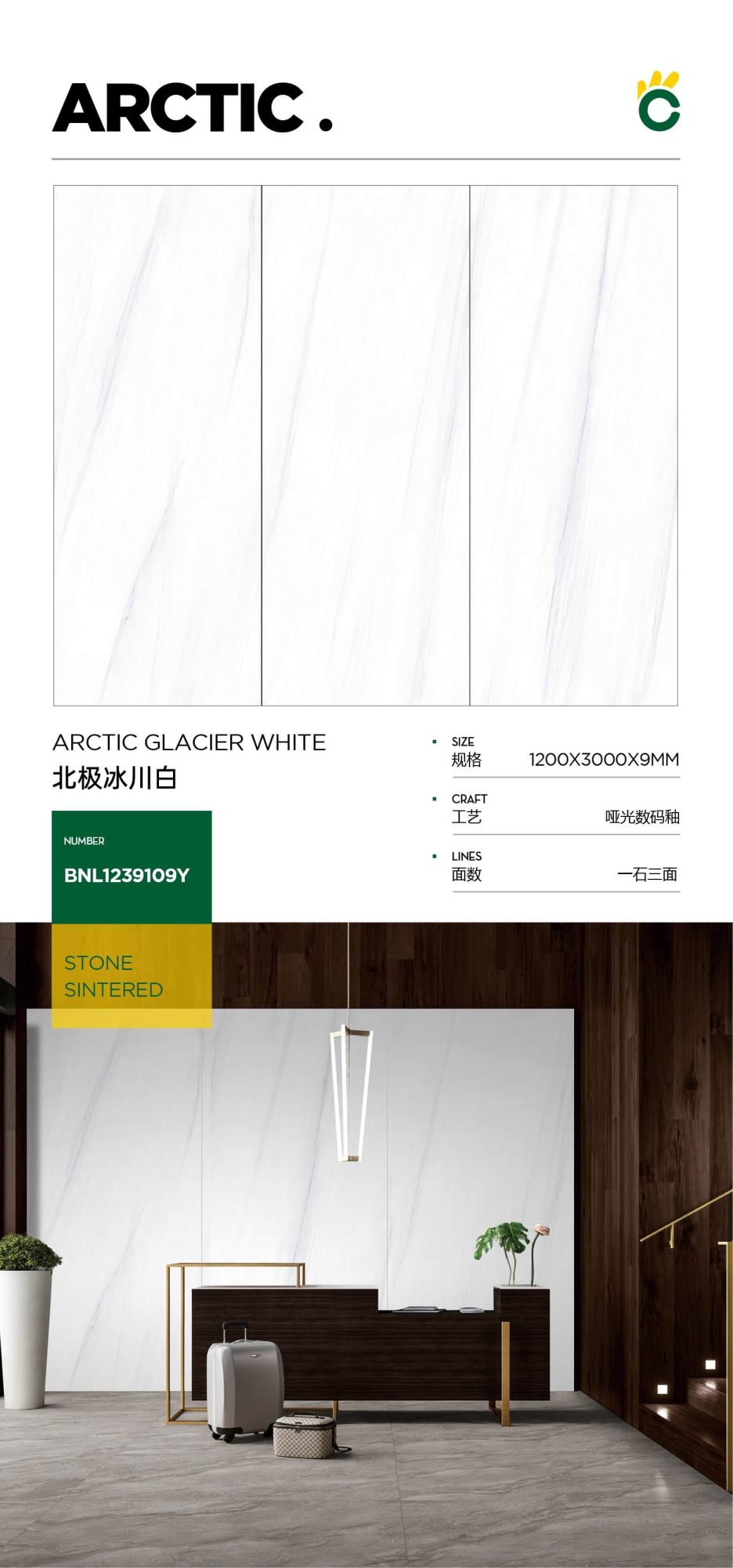 북극 빙하 흰색 1239109Y image 1