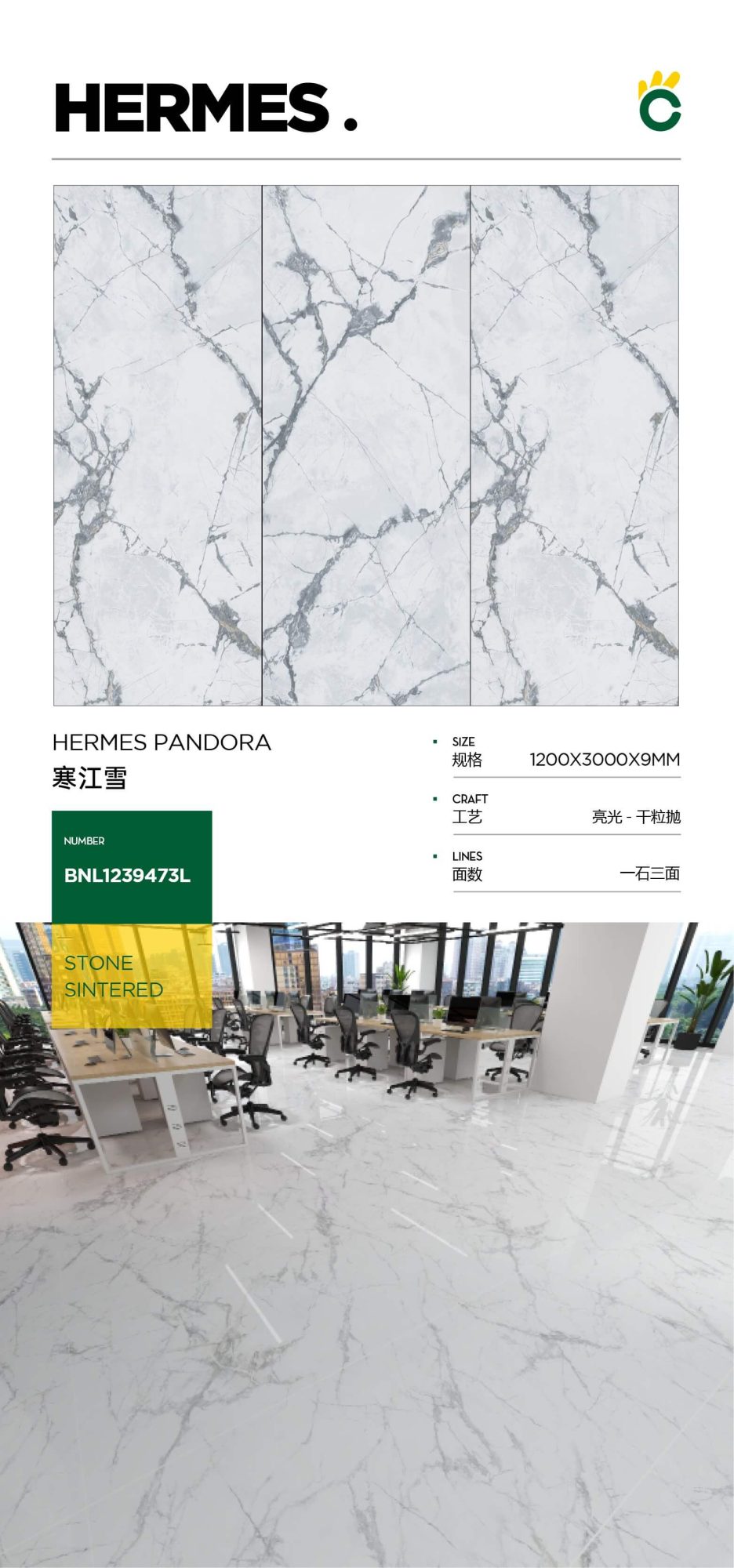 Han Jiangxue 1239473L image 1