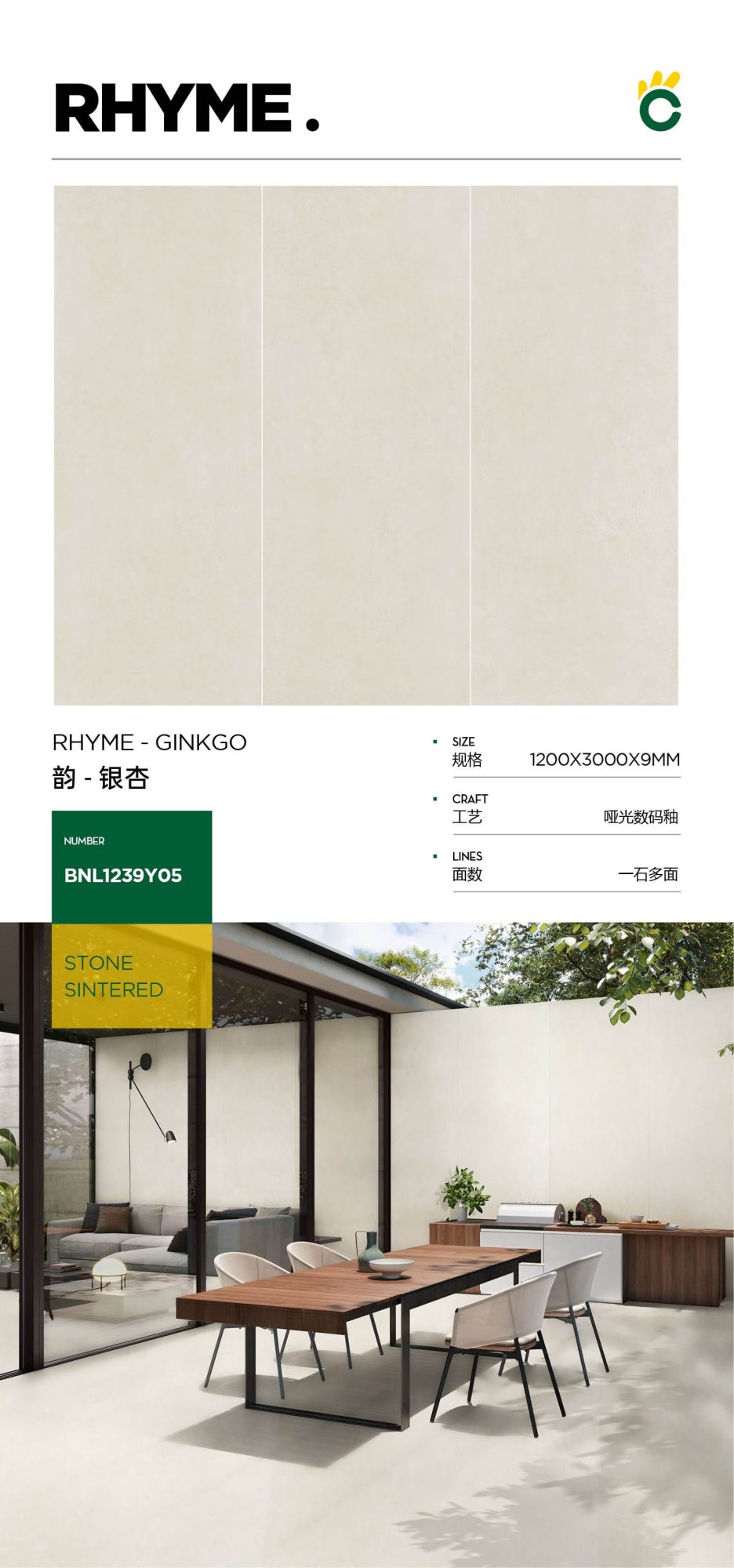 ライムイチョウ 1239Y05 image 1