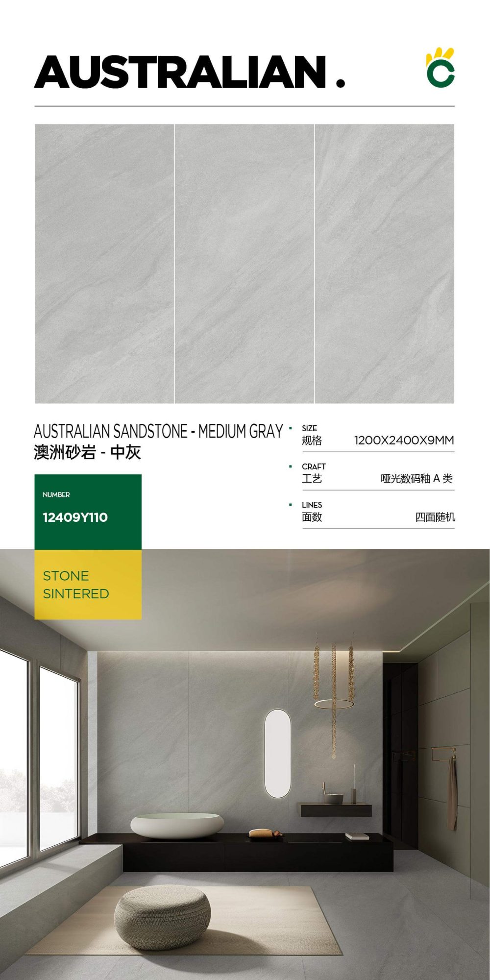 Australian sandstone-medium gray 12409Y110 image 1