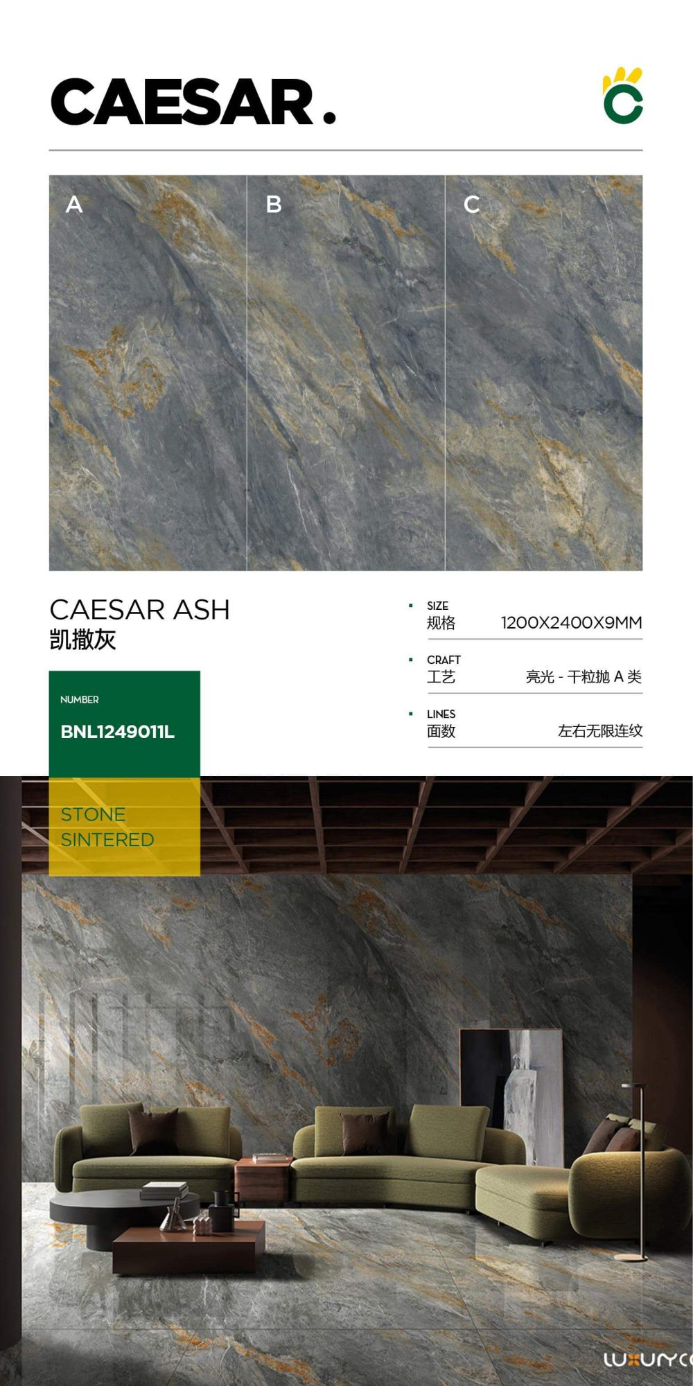 caesar gray 1249011L image 1