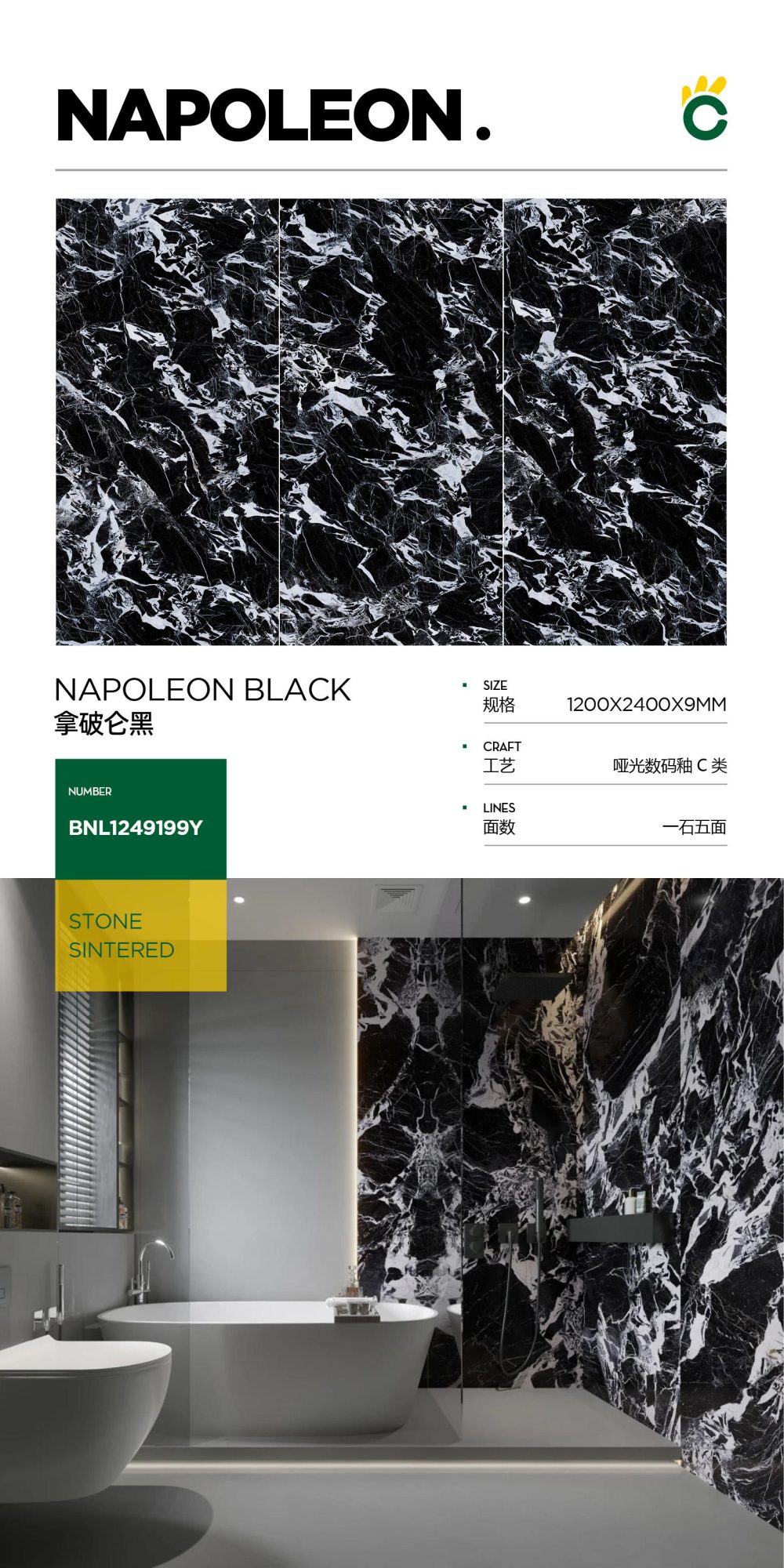 Napoleon black 1249199Y image 1