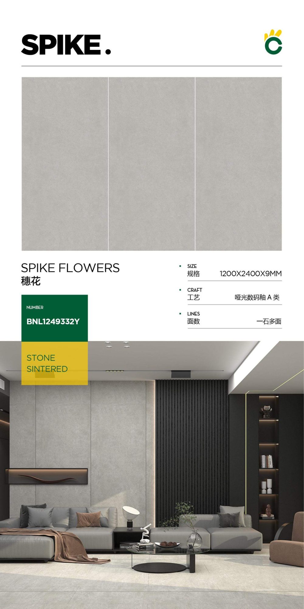 spike flower 1249332Y image 1
