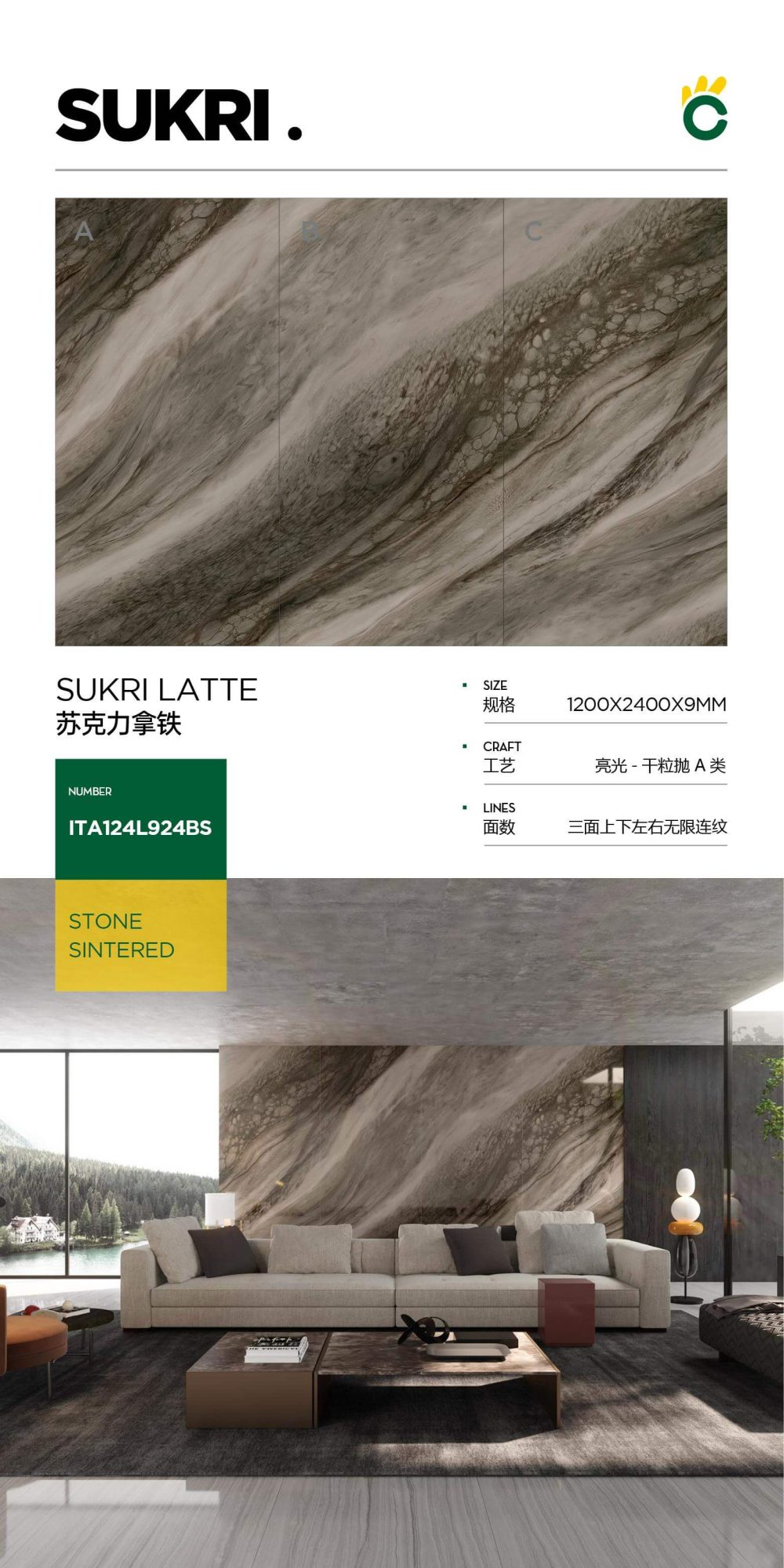 succulent latte 124L924BS image 1