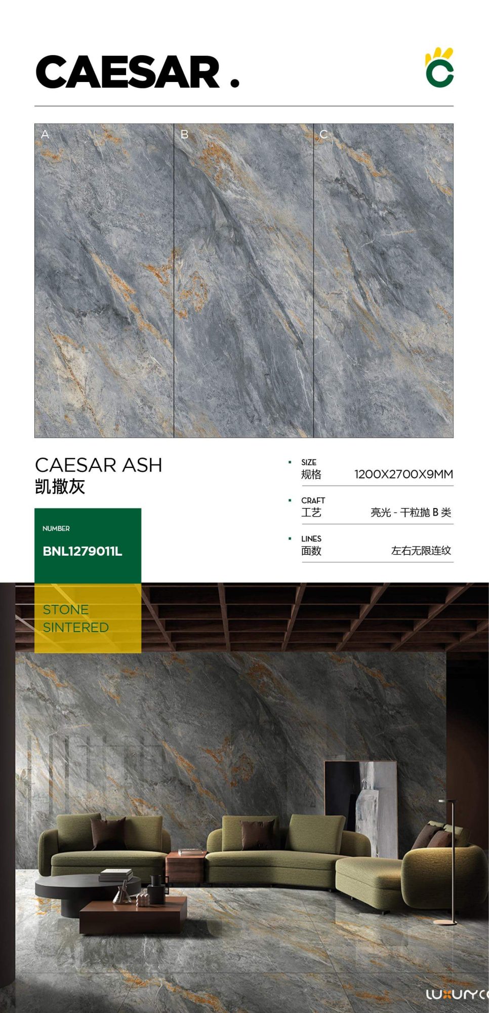 caesar gray 1279011L image 1