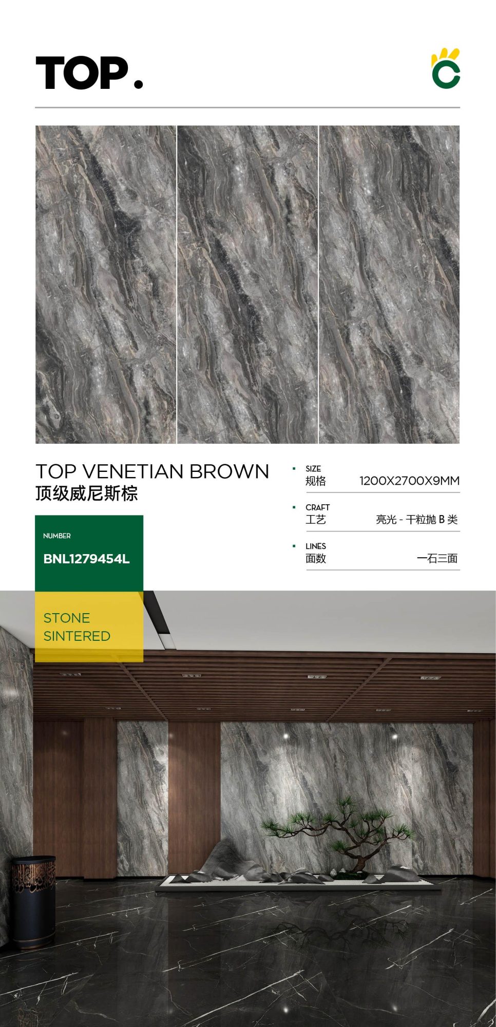 Top Venetian Brown 1279454L image 1