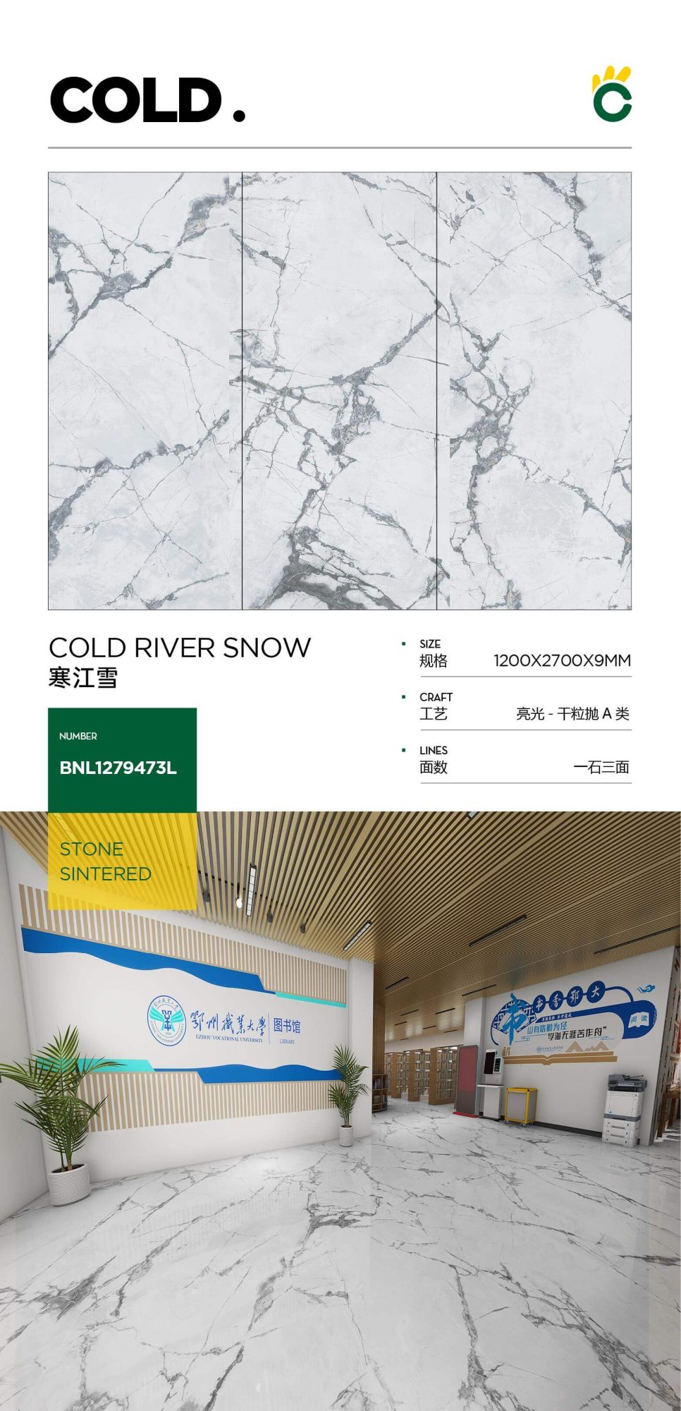 Han Jiangxue 1279473L image 1