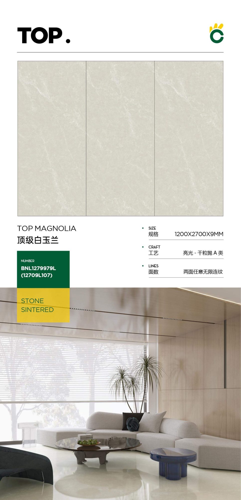 Top Magnolia 1279979L（12709L107） image 1