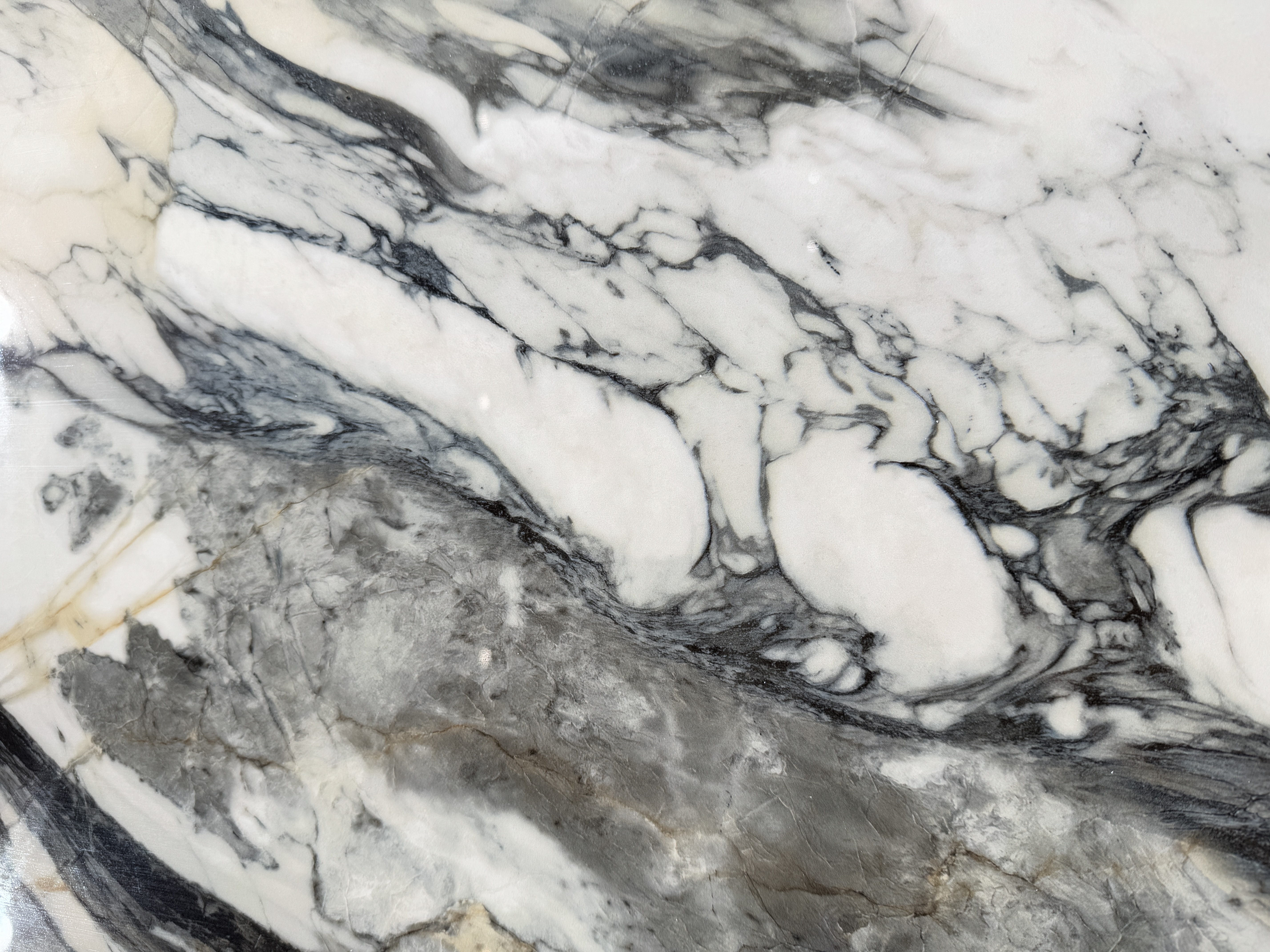 Capraia 12G1227642 image 3