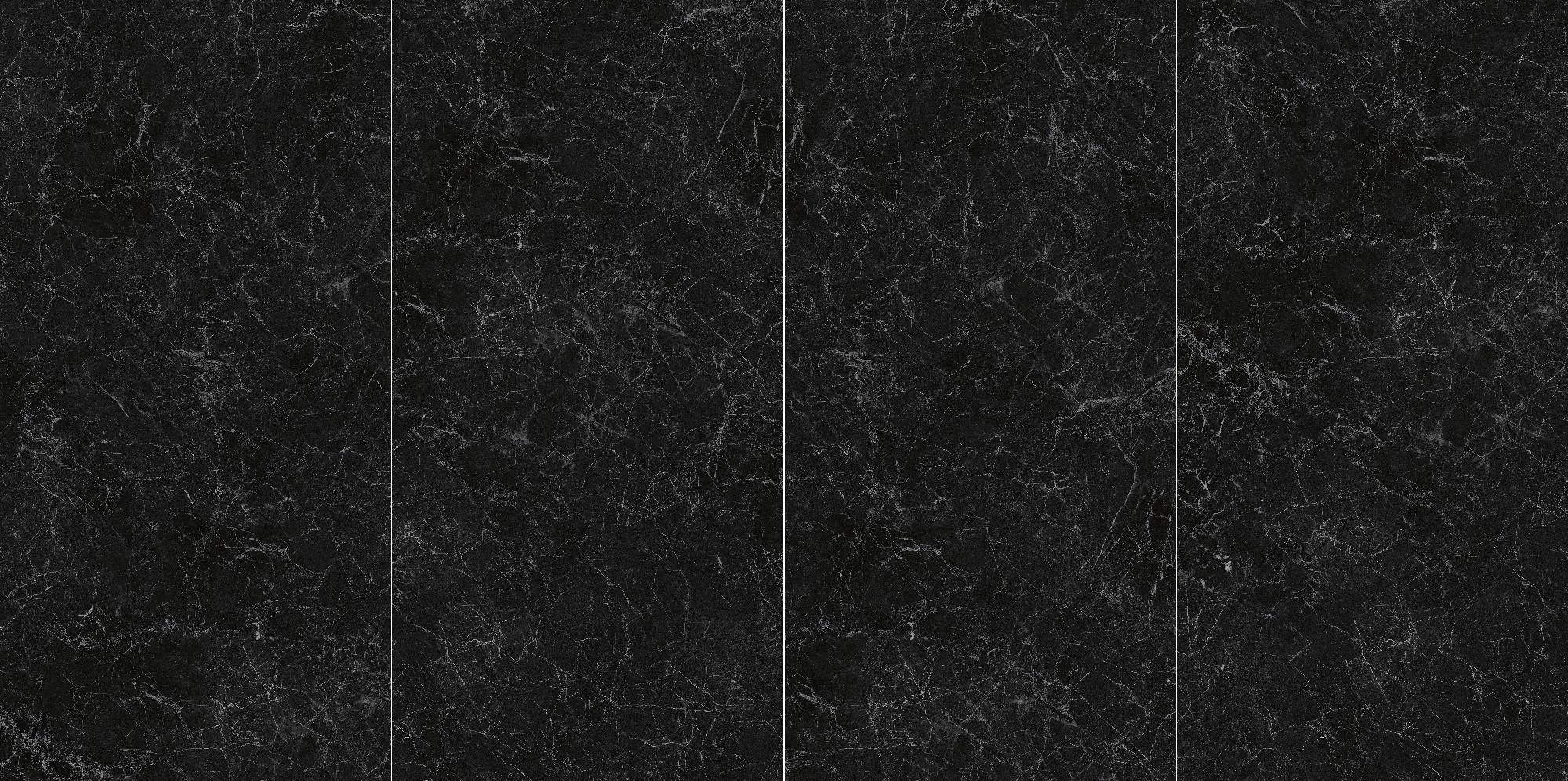 网纹黑白根 12G918122D image 2