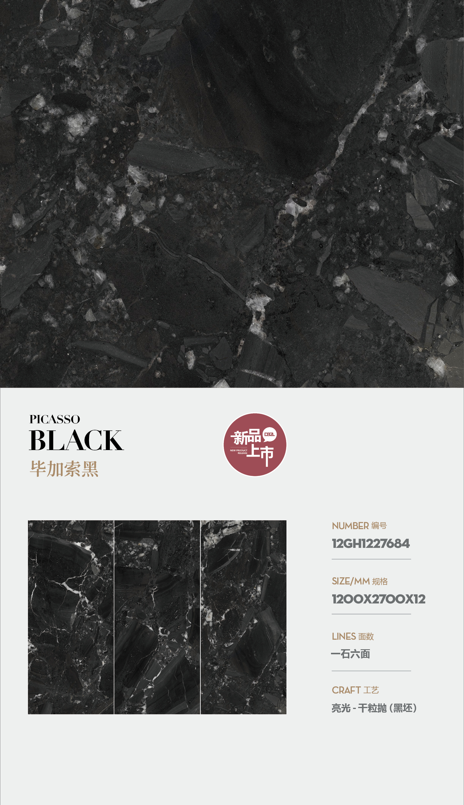Picasso black