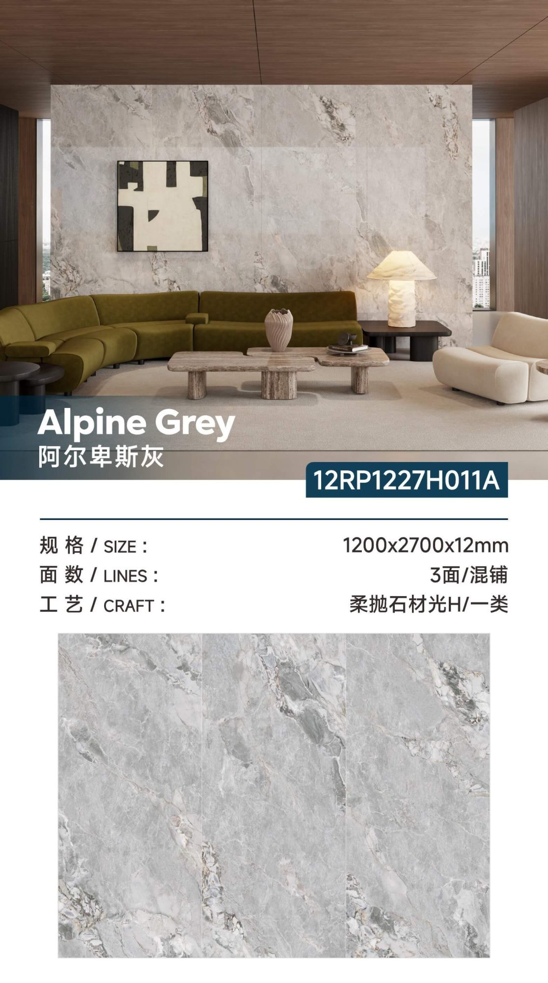 alpine gray 12RP1227H011A image 1