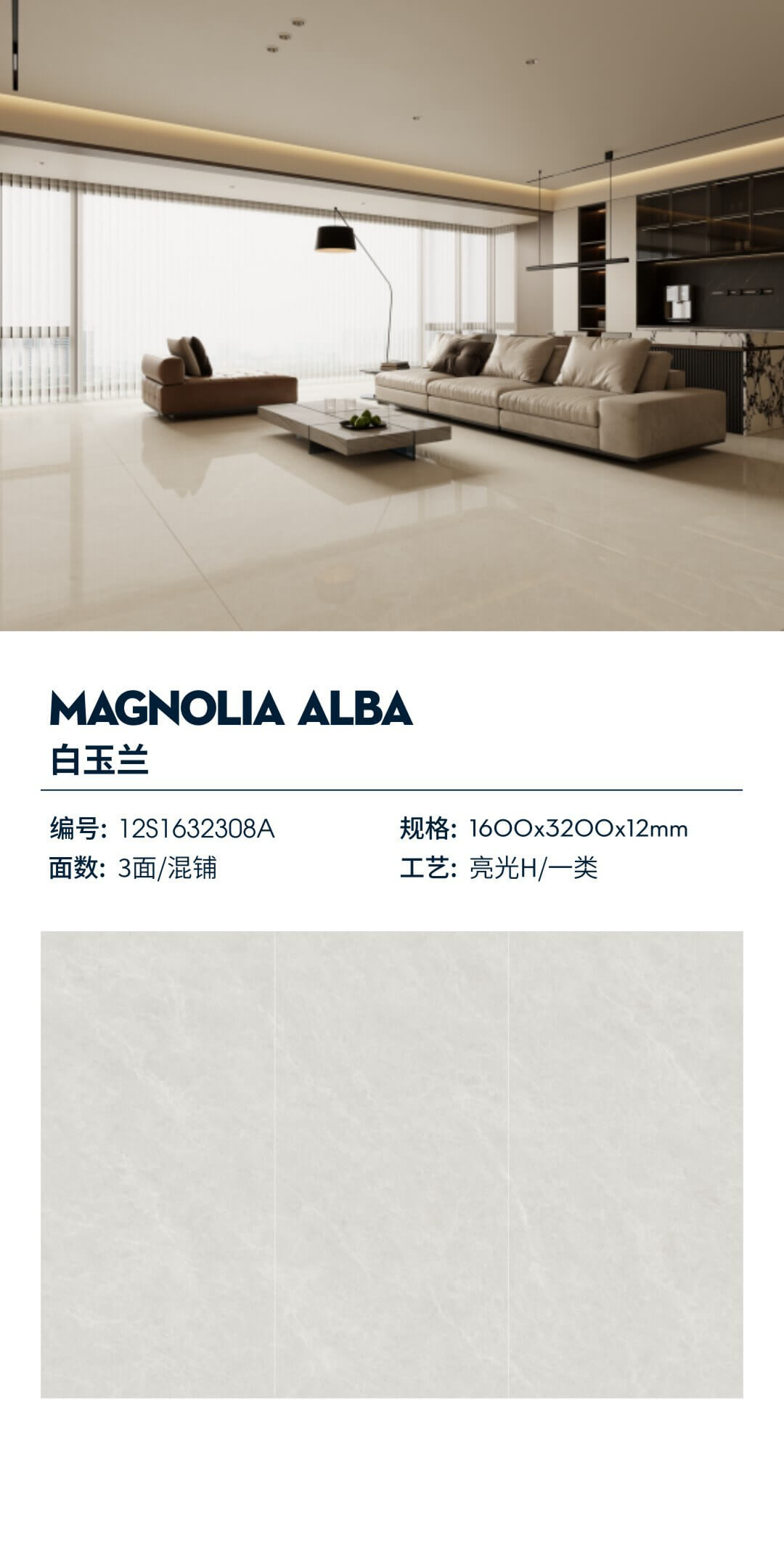 흰 목련 12S1632308A image 1