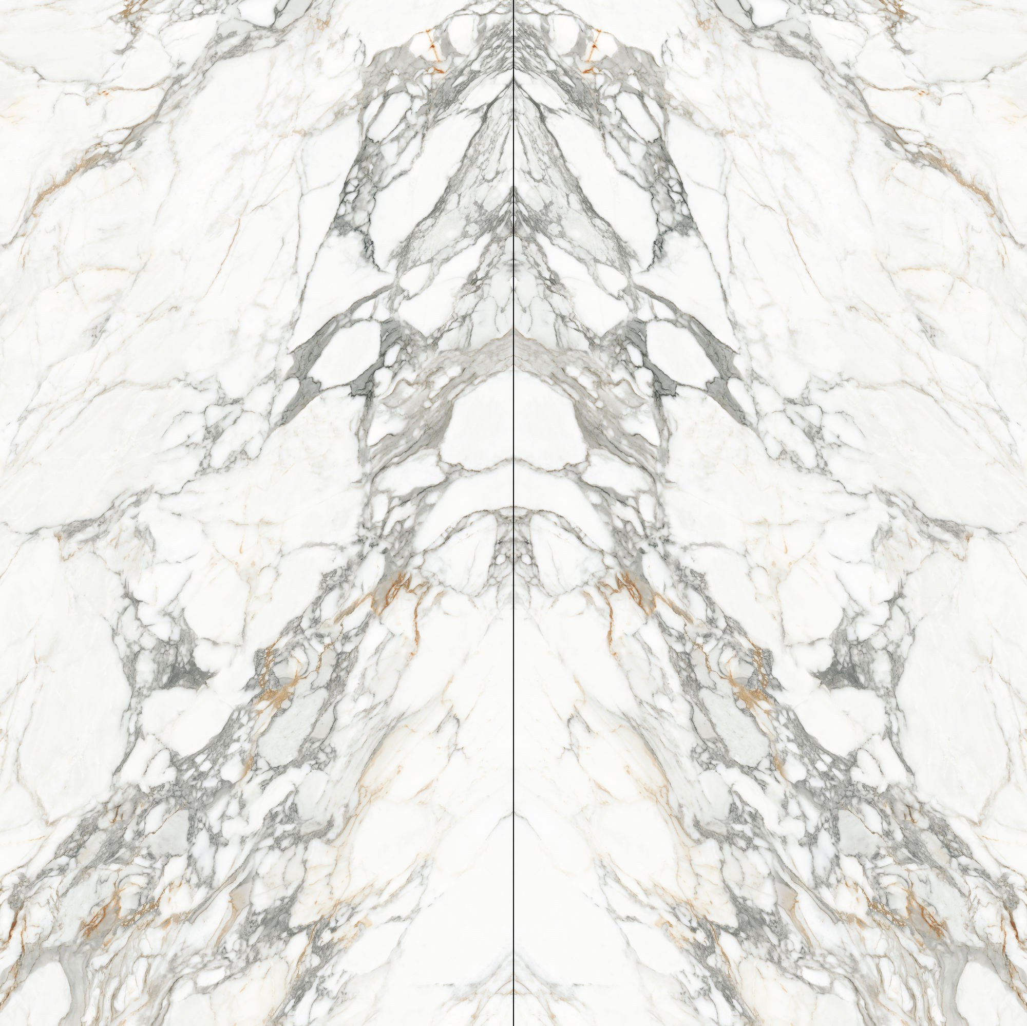 castilla gold 12S1632364A image 2