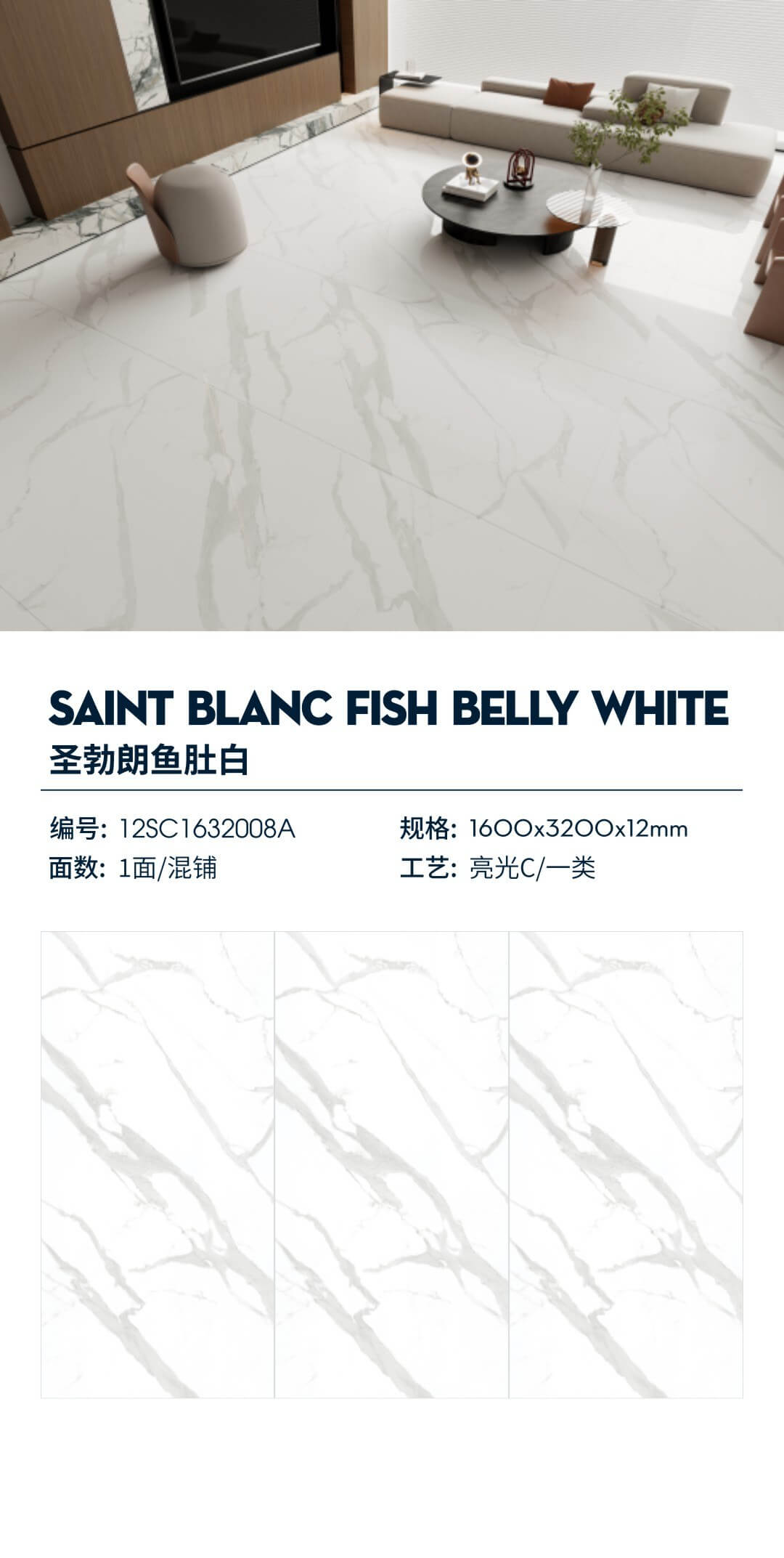 サンブランの魚の腹は白です 12SC1632008A image 1
