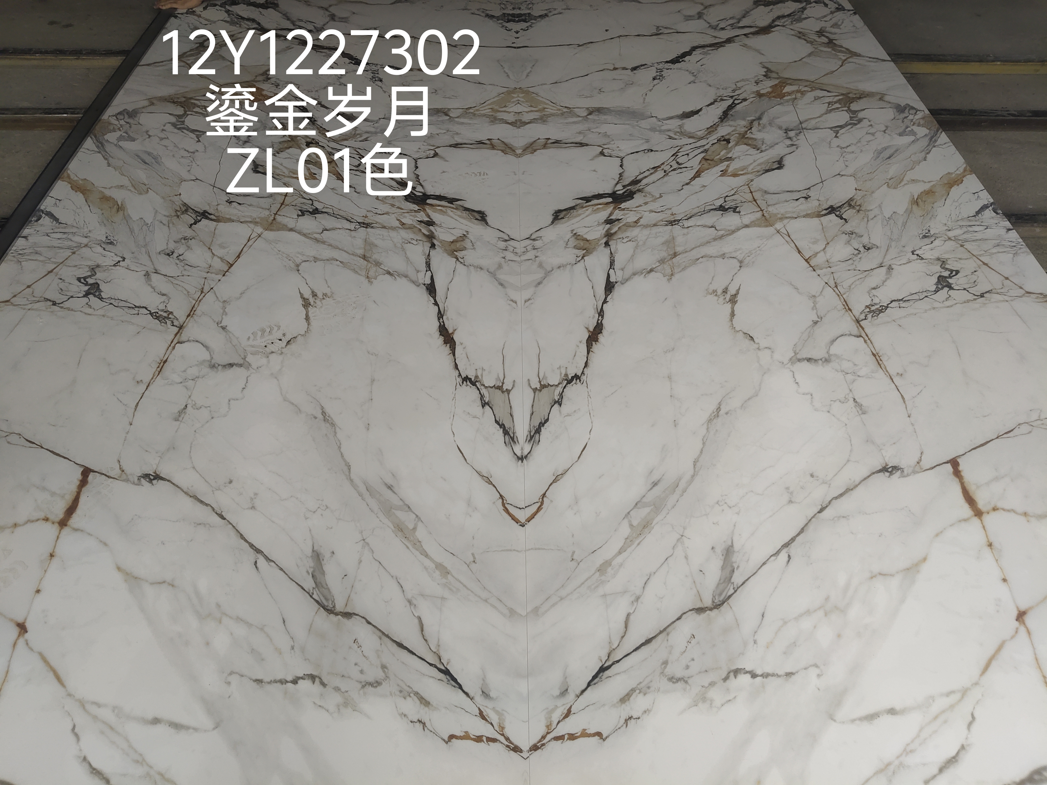 鎏金岁月 12Y1227302 image 4