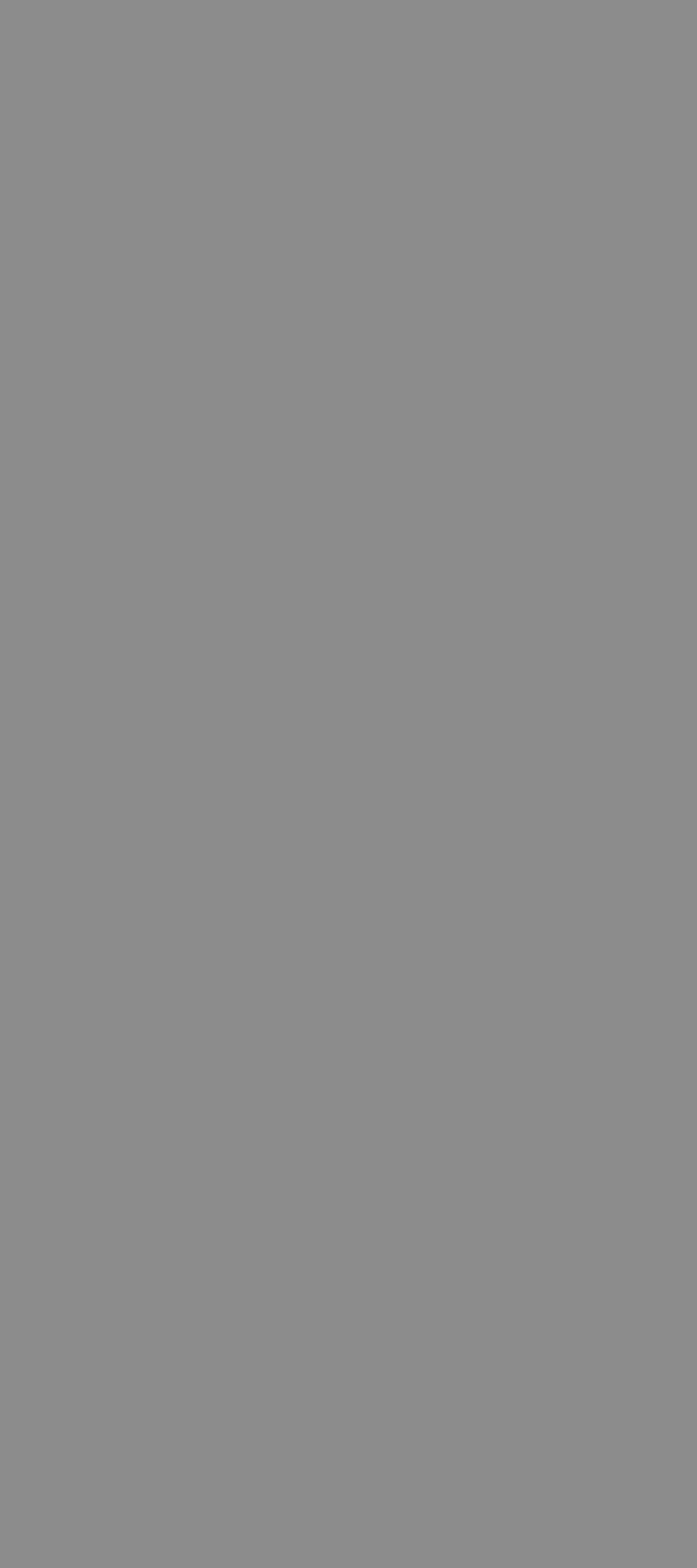 pure gray 12Y127810B image 2