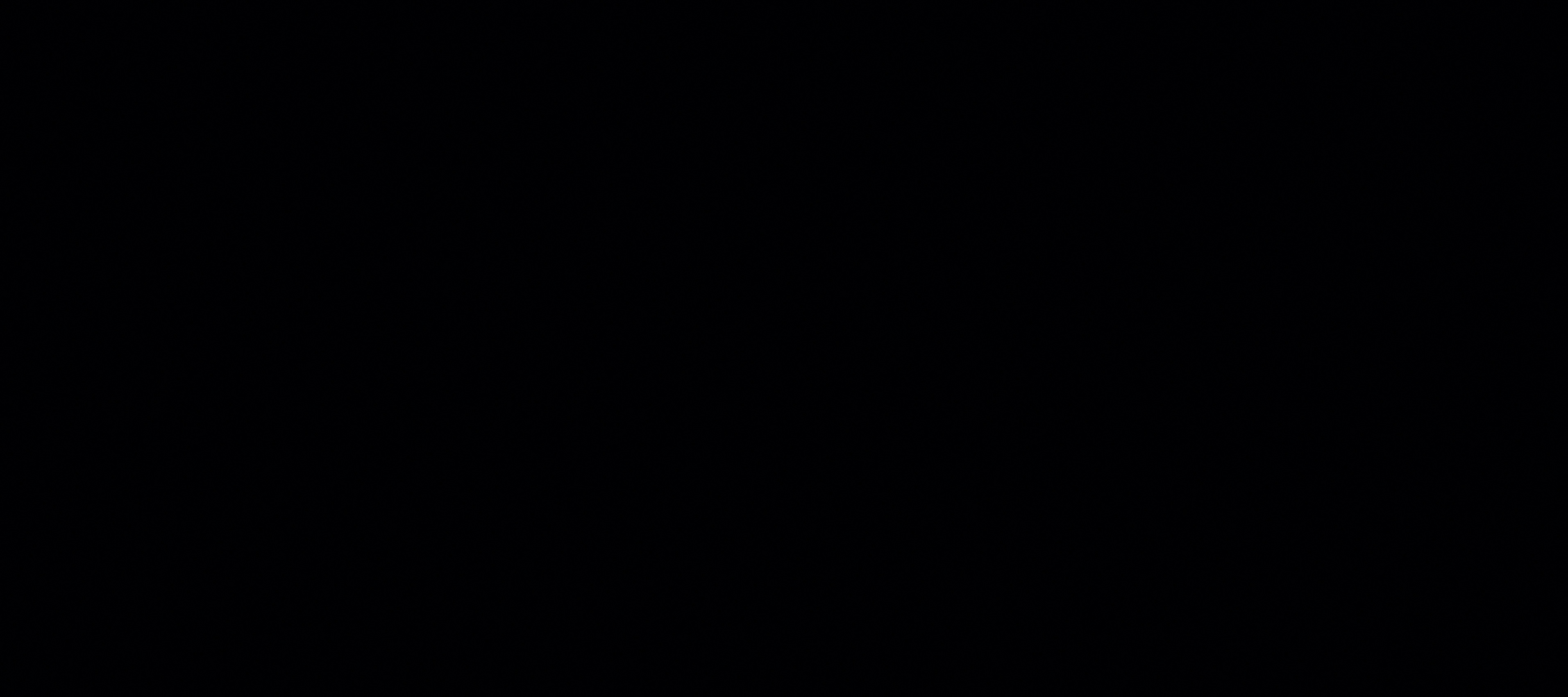 pure black 12YH122784 image 2