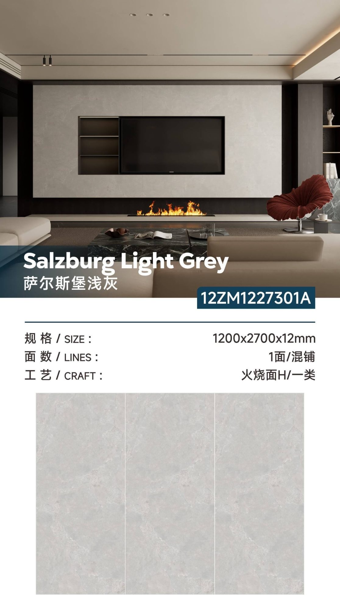 Salzburg light gray 12ZM1227301A image 1