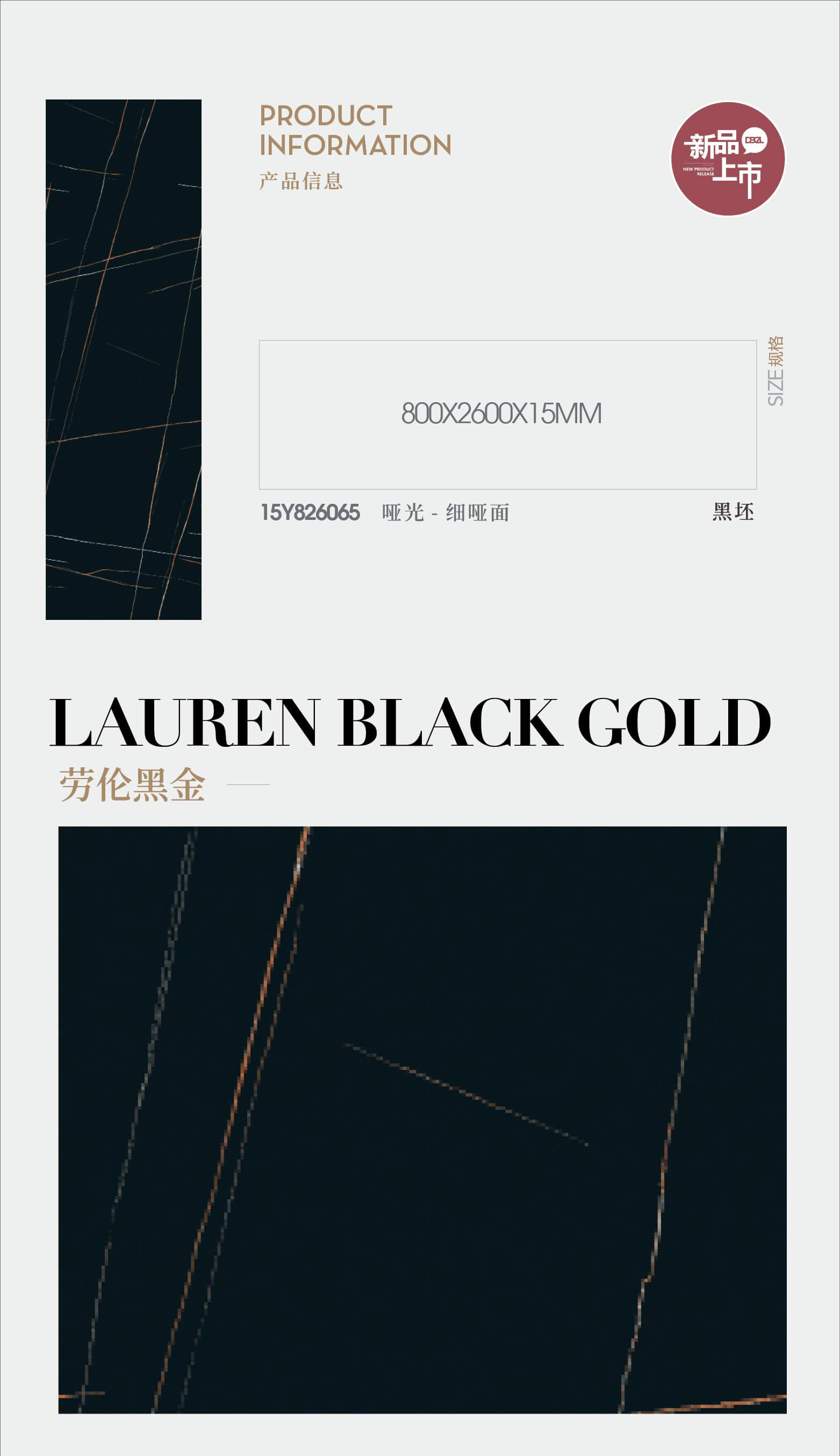 Lauren Black Gold 15Y826065 image 1
