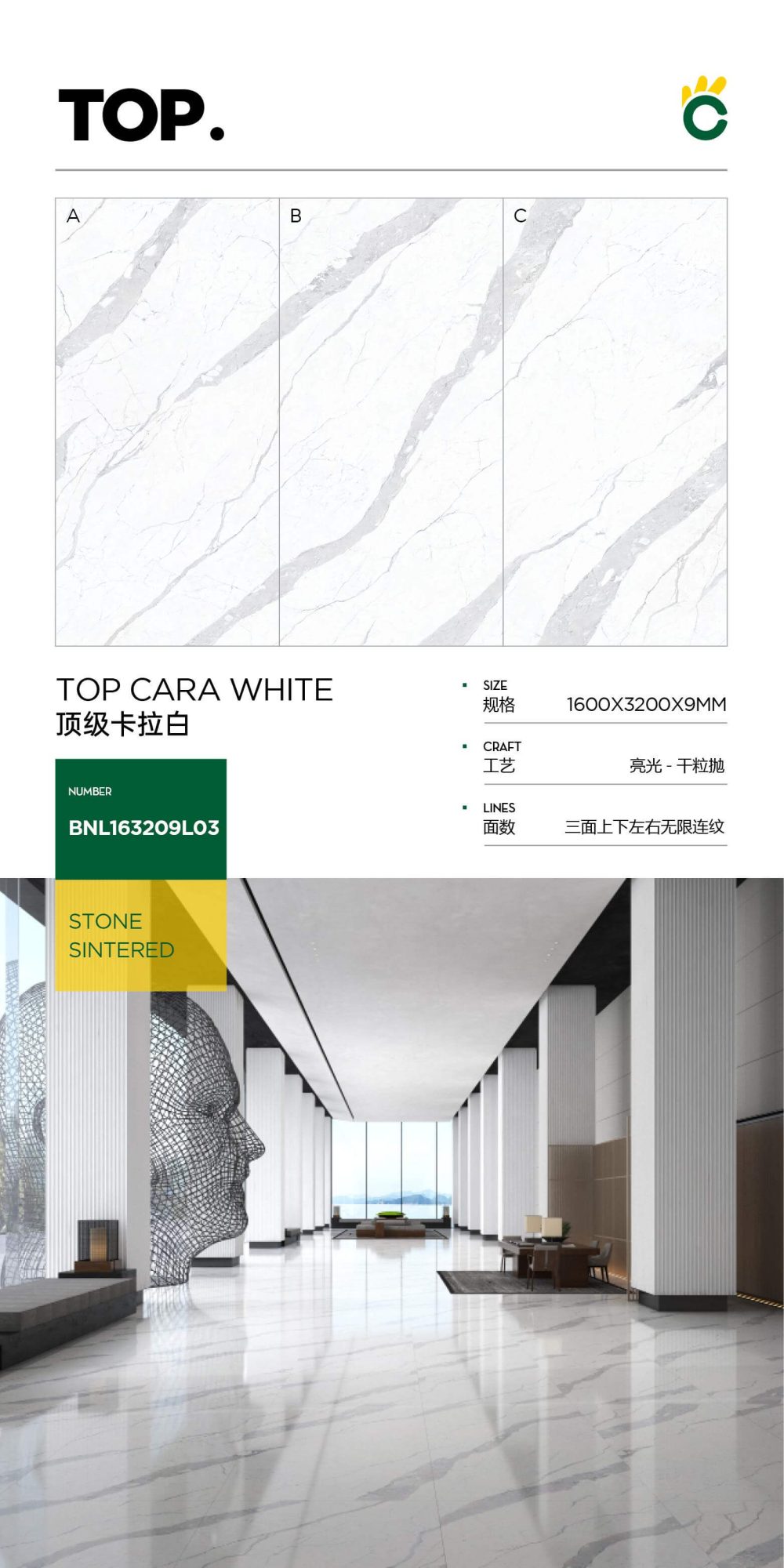 cara superior blanca 163209L03 image 1
