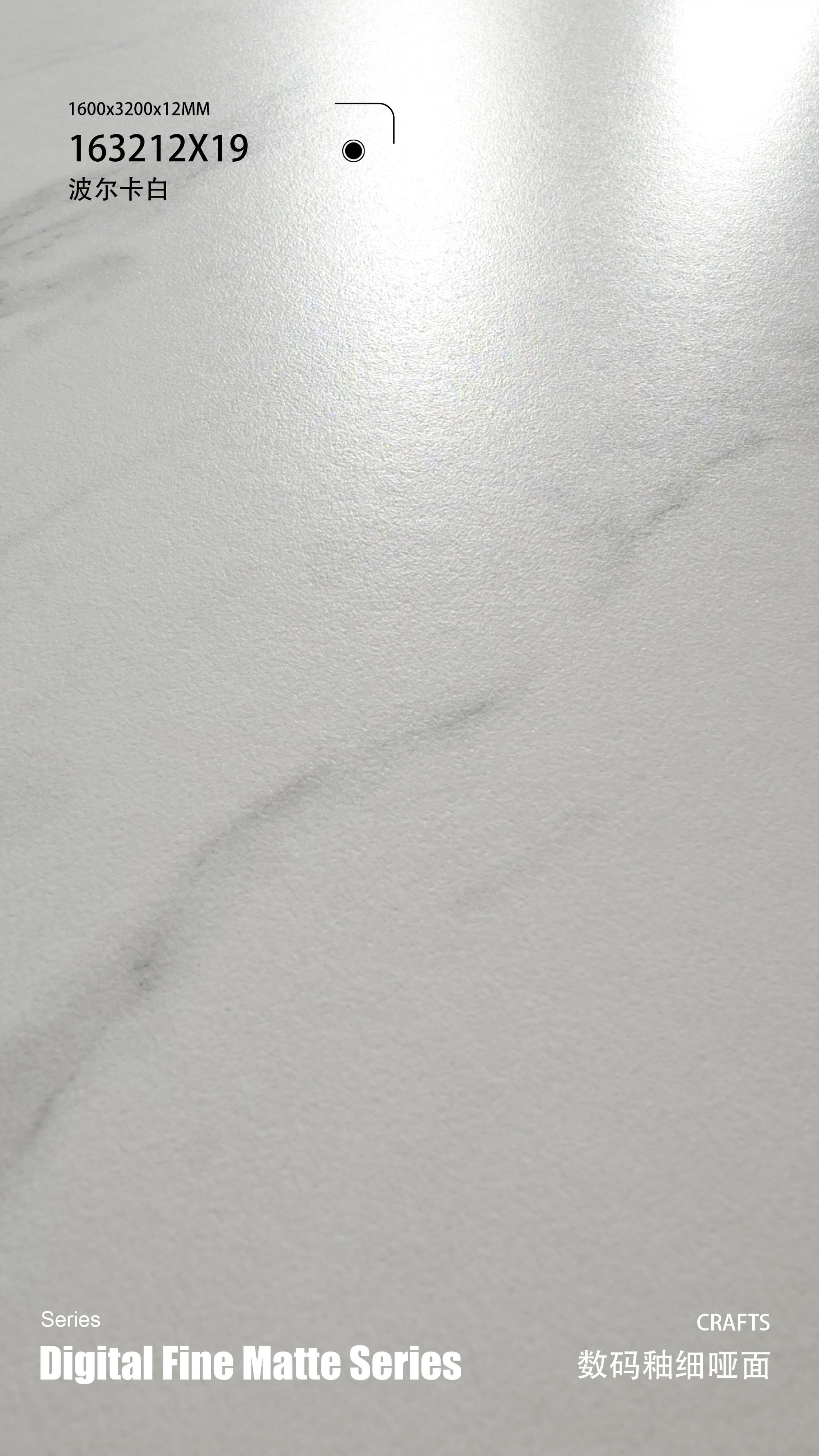 polka white 163212X19 image 3