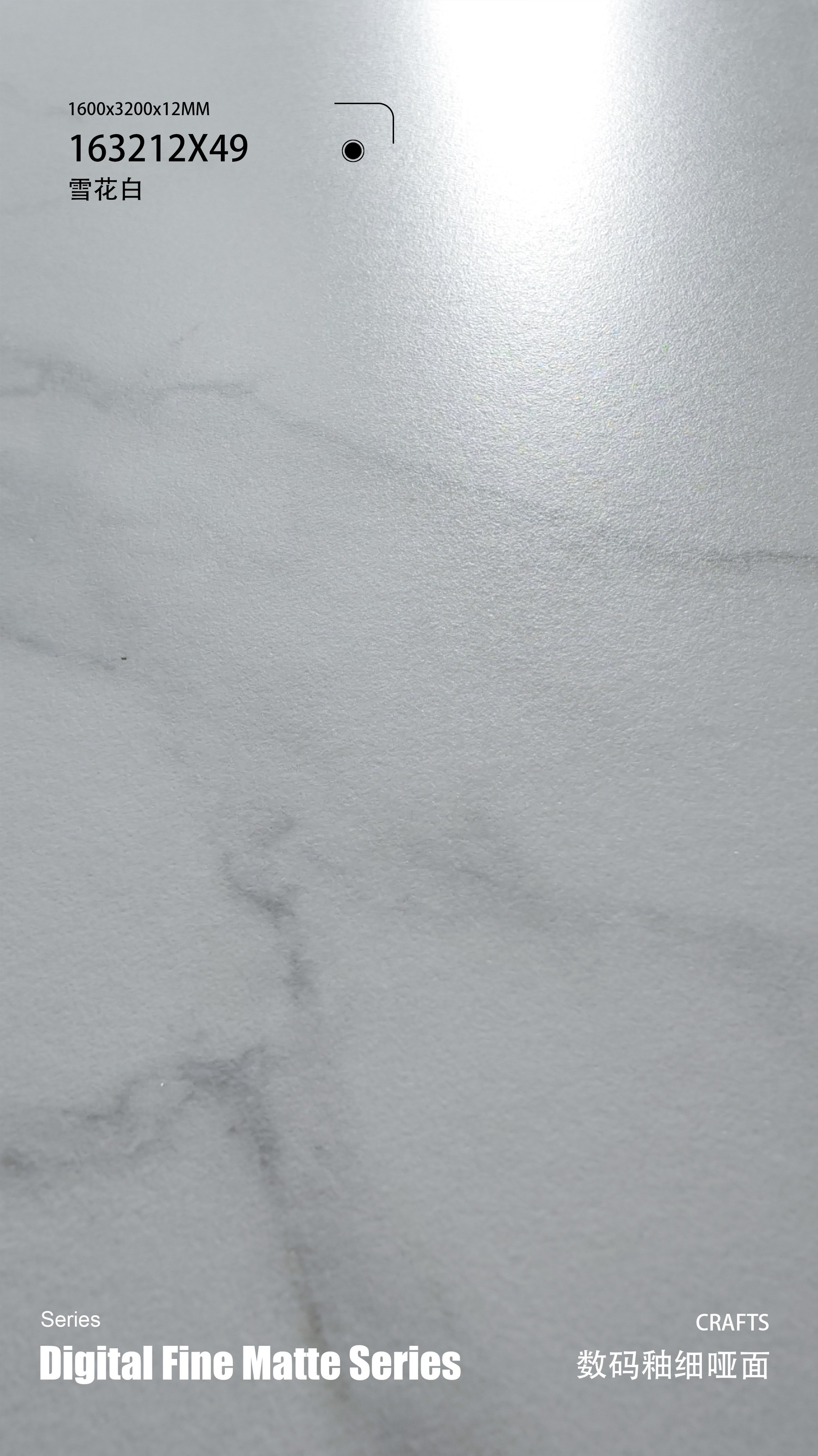 fiocco di neve bianco 163212X49 image 3