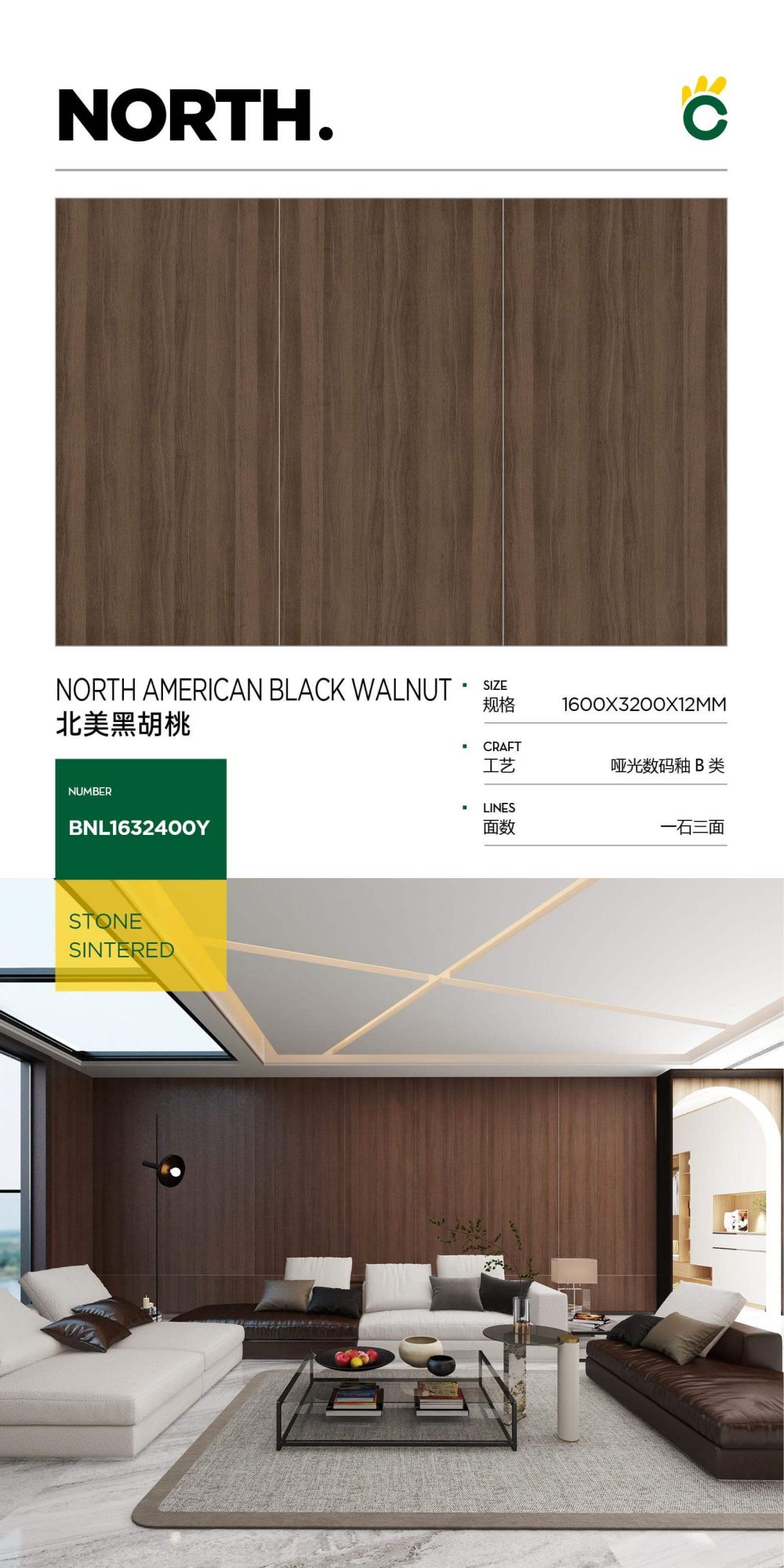 North American black walnut 1632400Y image 1