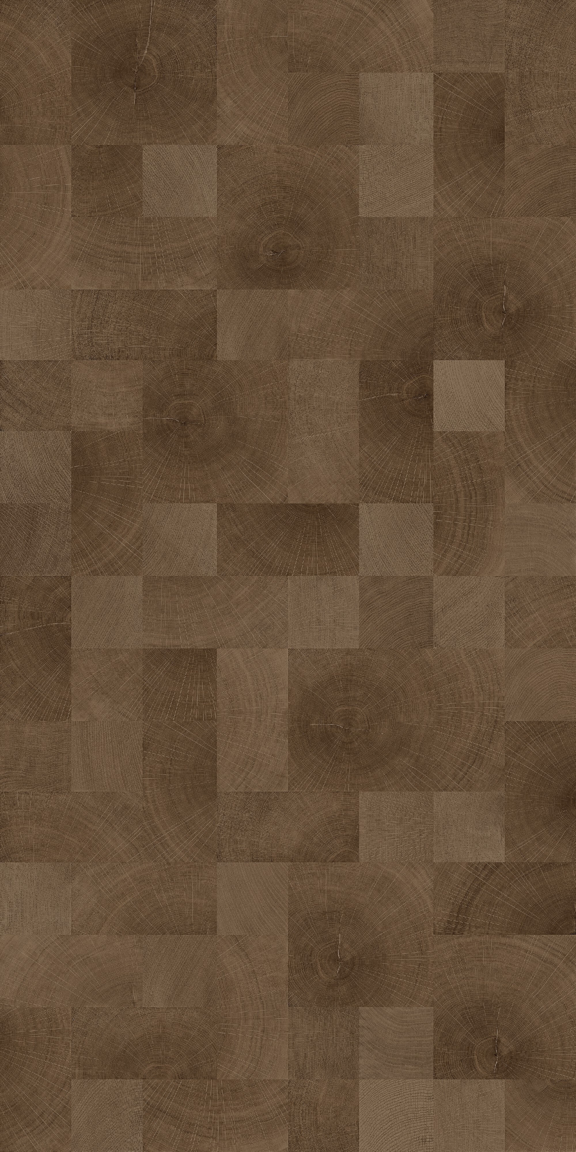 Oak growth rings-dark wood color 168C image 2