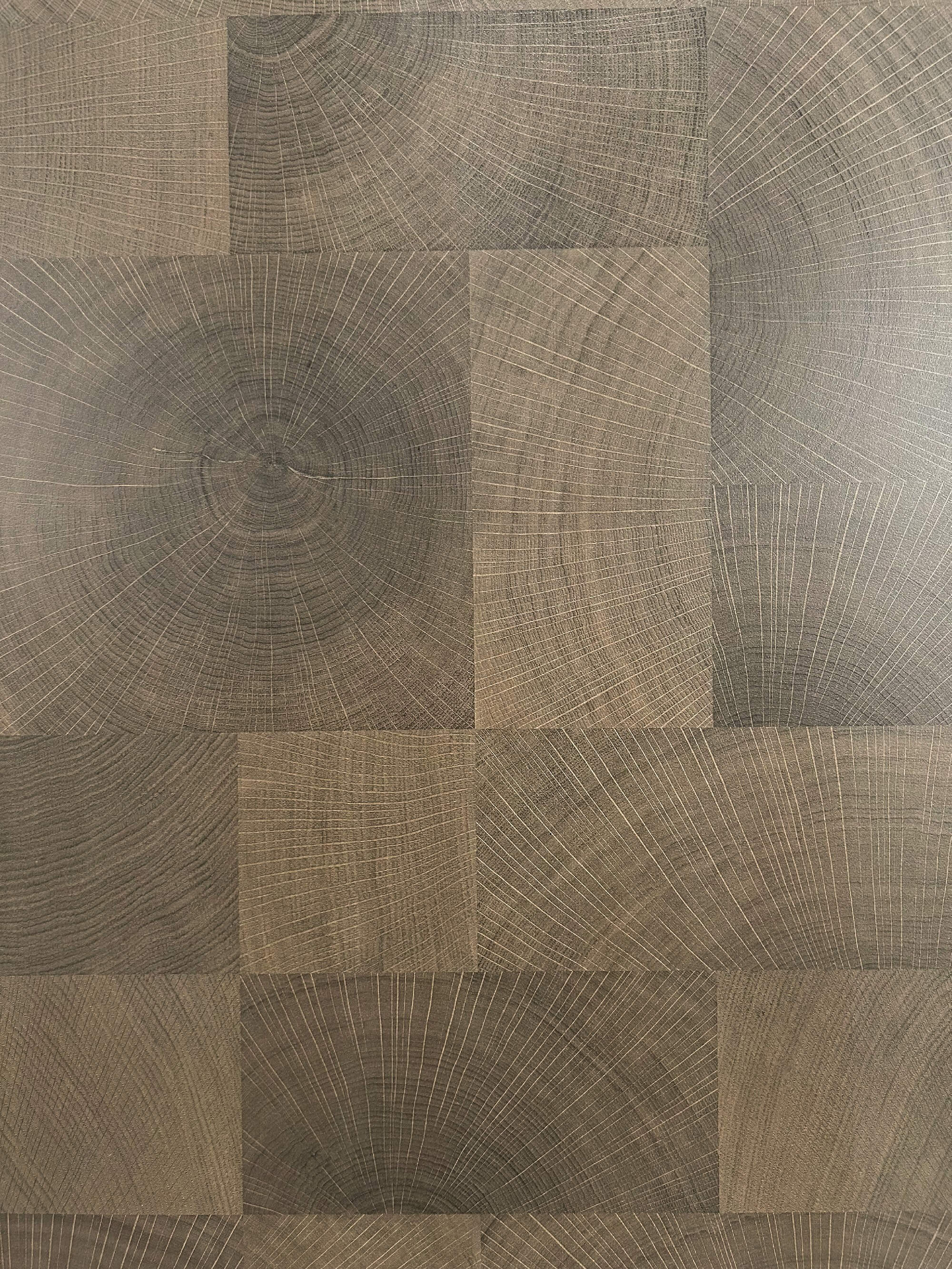 Oak growth rings-dark wood color 168C image 4
