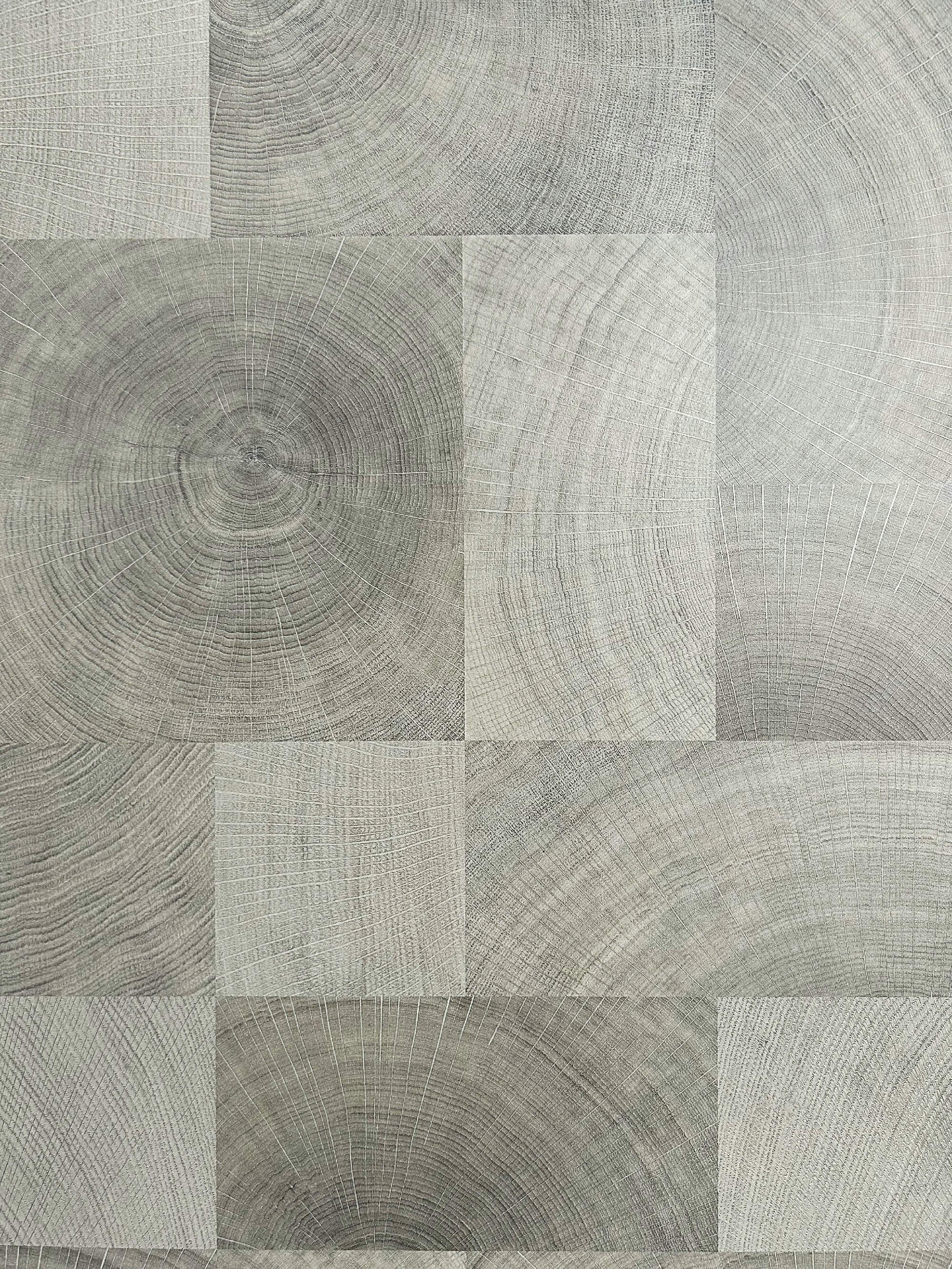 Oak growth rings - light gray 169C image 3