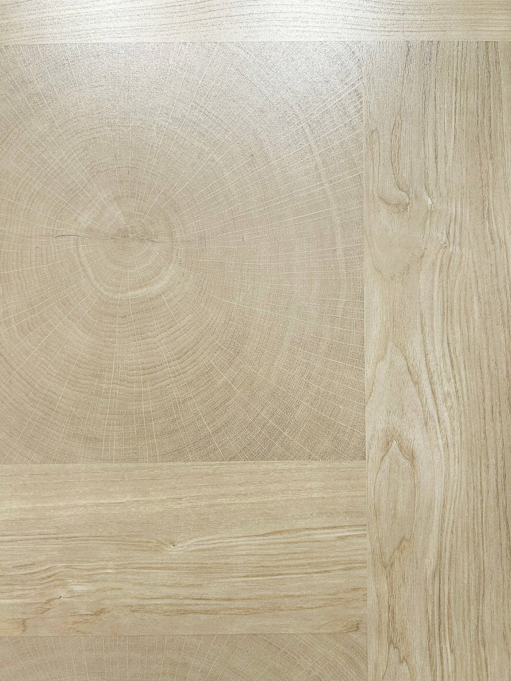 Fir growth rings-beige 174C image 4