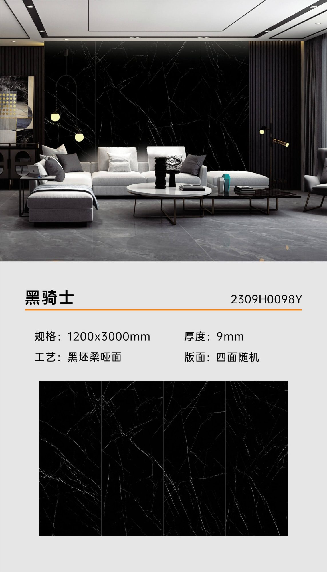 black knight 2309H0098Y image 1