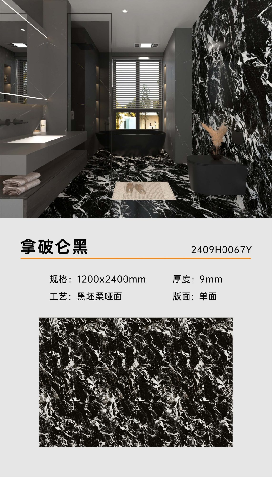 Napoleon black 2409H0067Y image 1