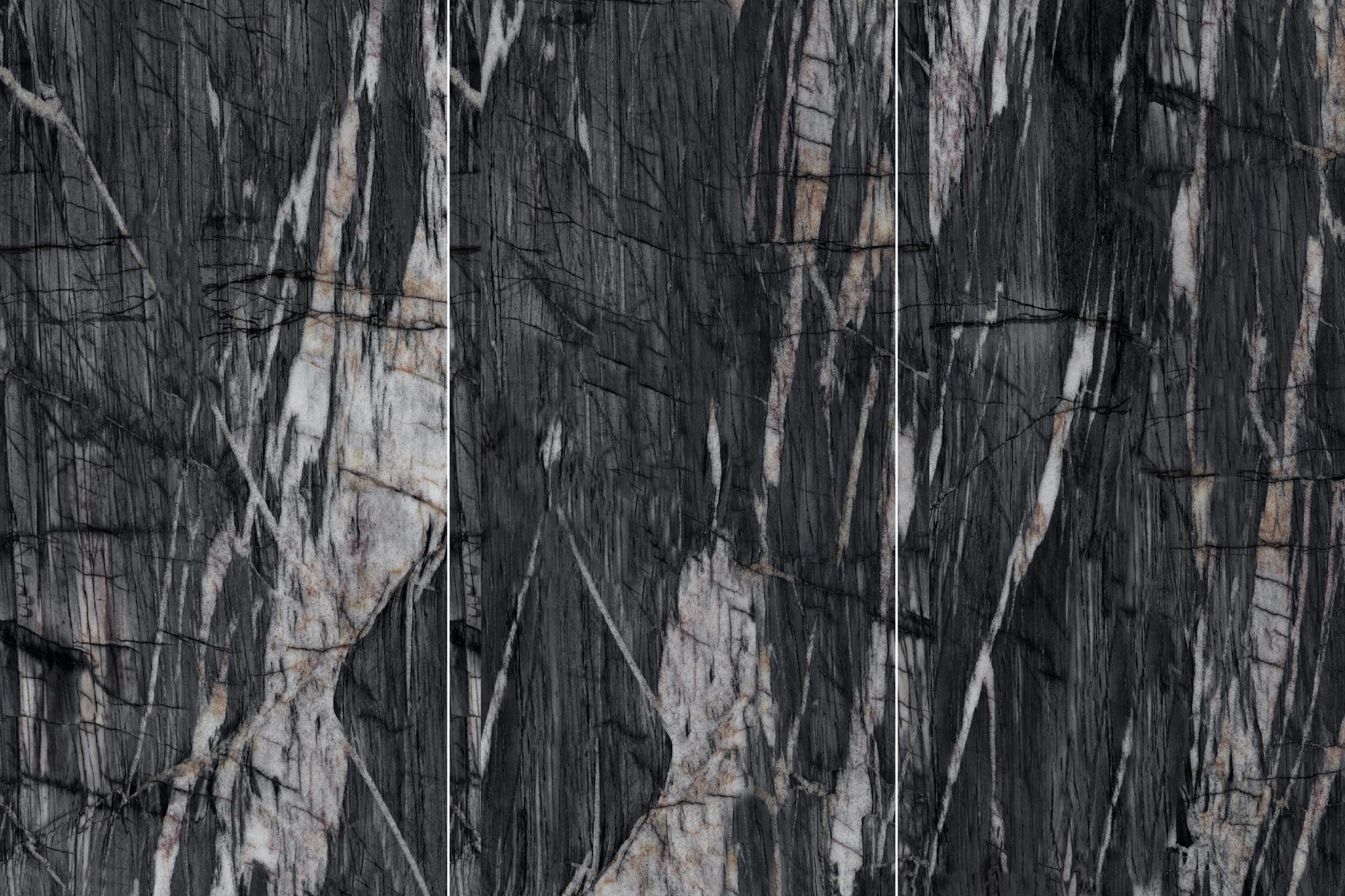 Rainforest black 2409H7015Y image 2