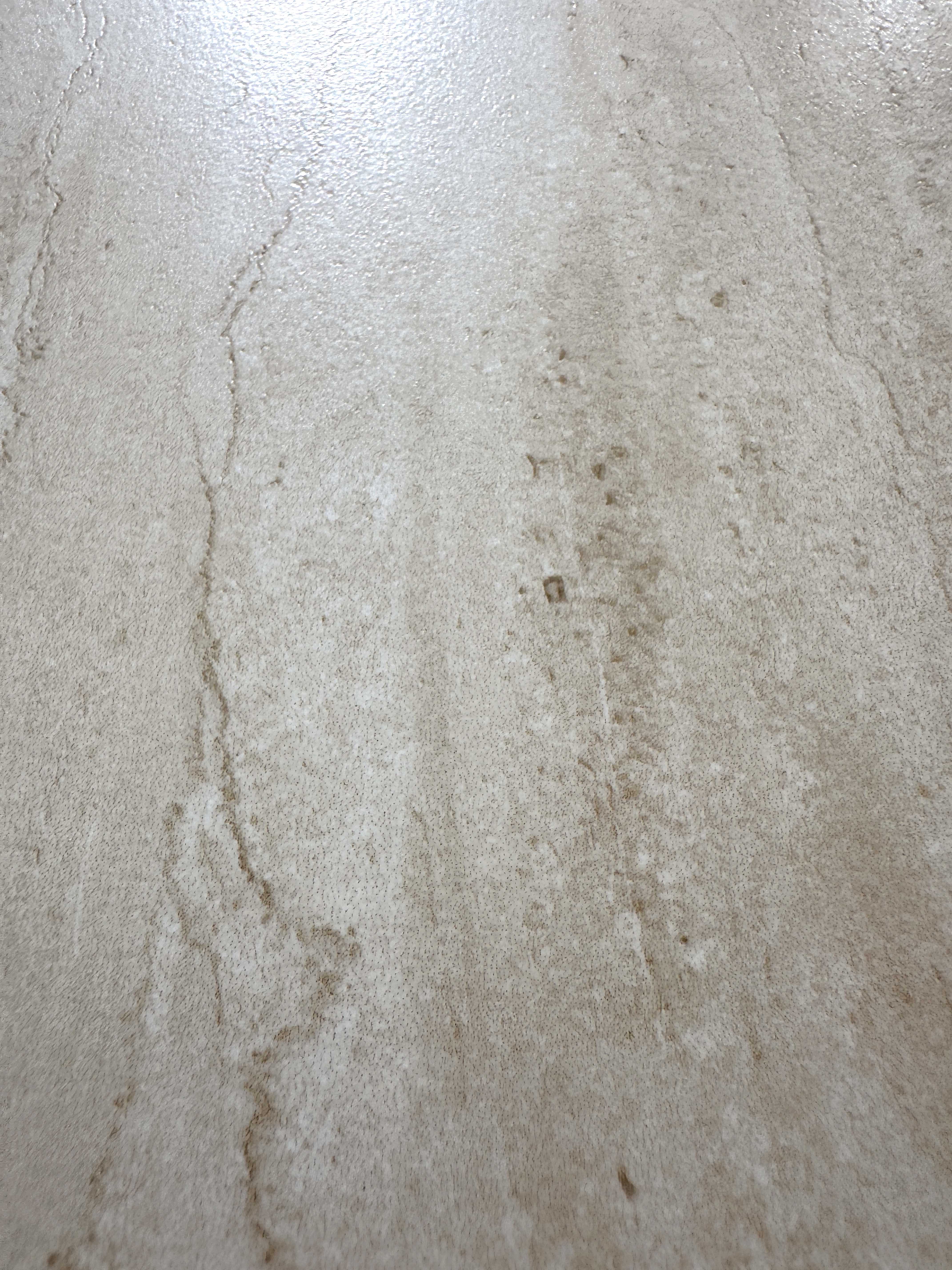 new portland beige 612FJ107 image 3