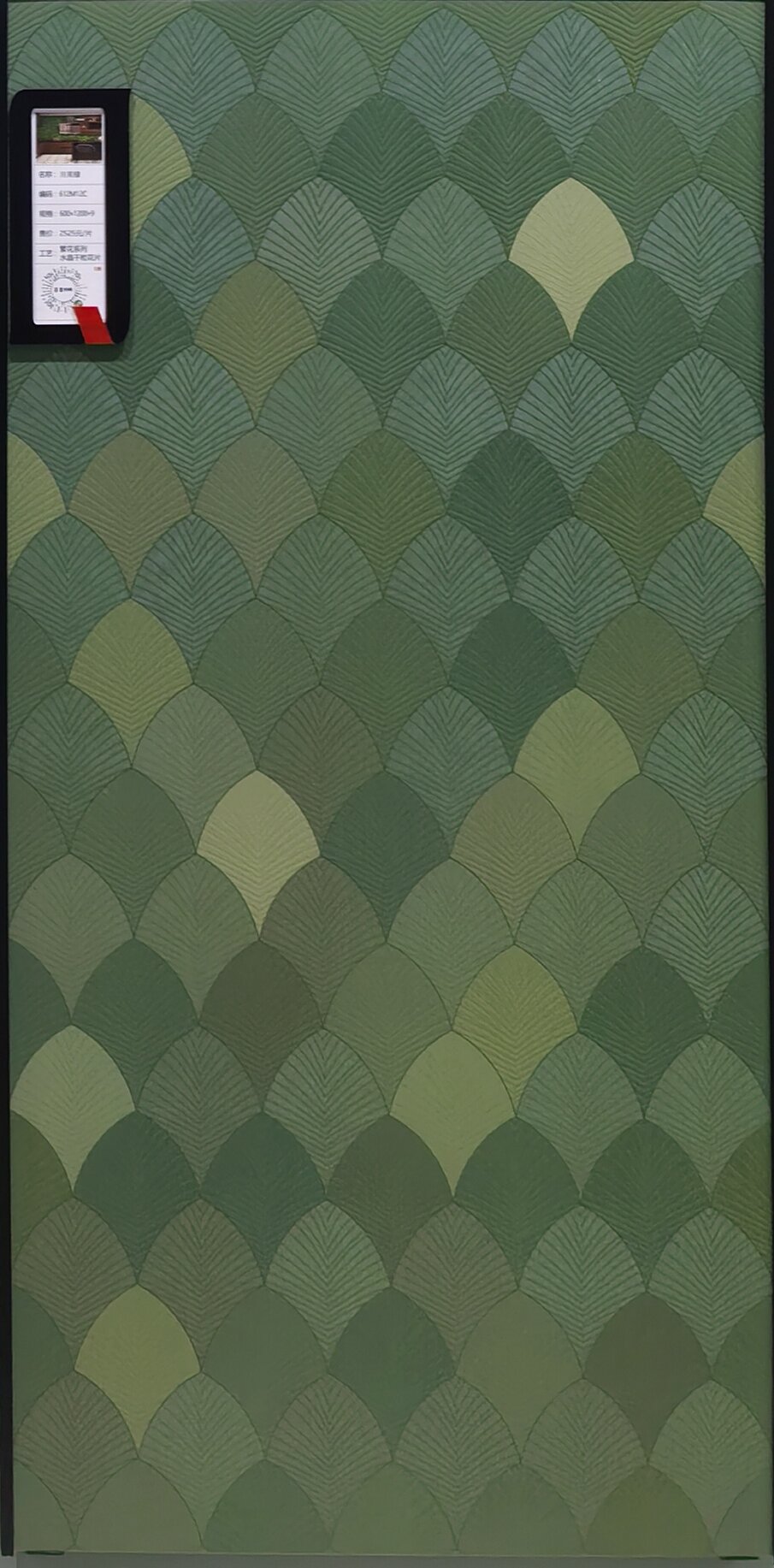 Wings-Green 612M12C image 3