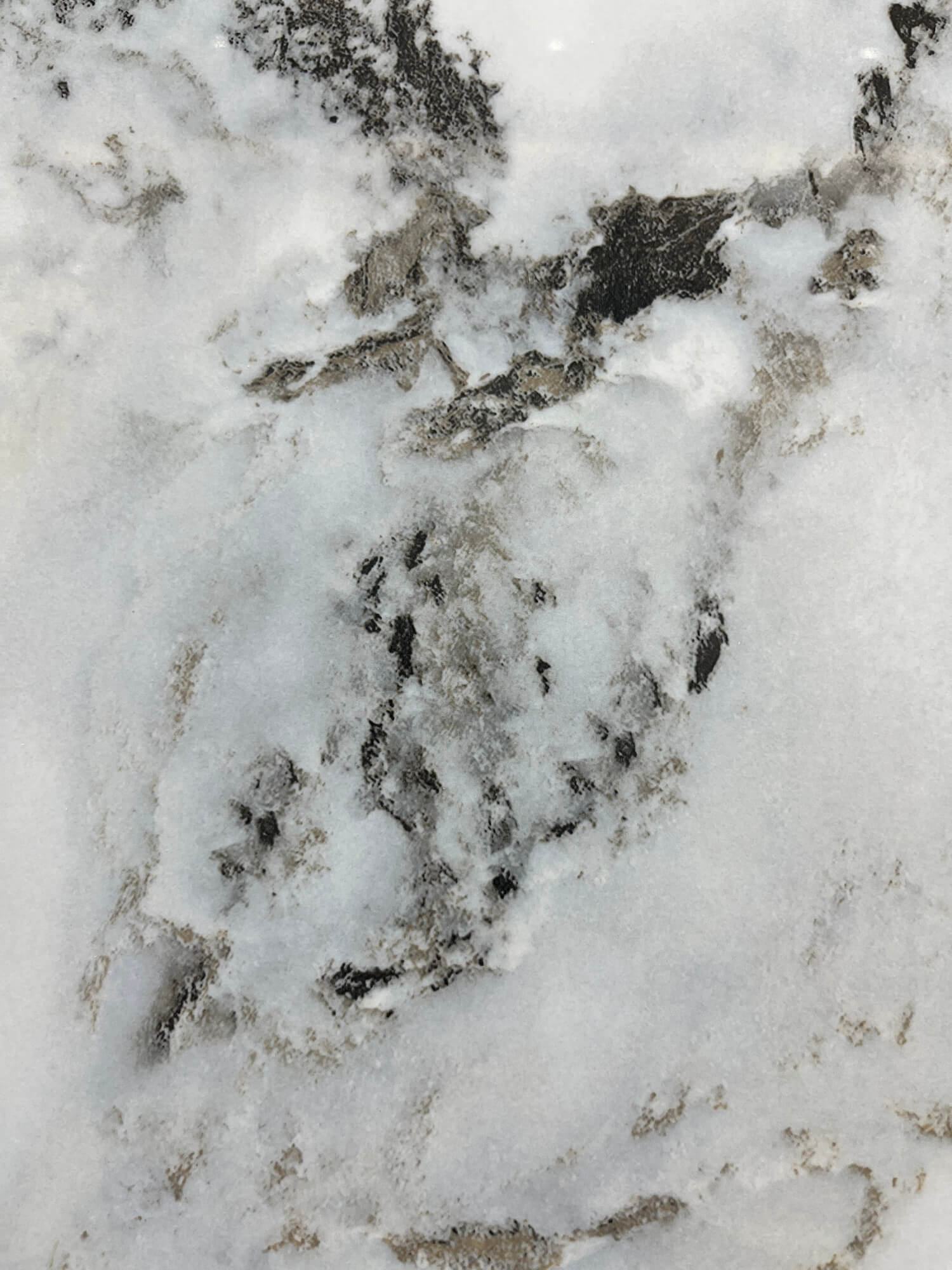 Fushanju 82601 image 3