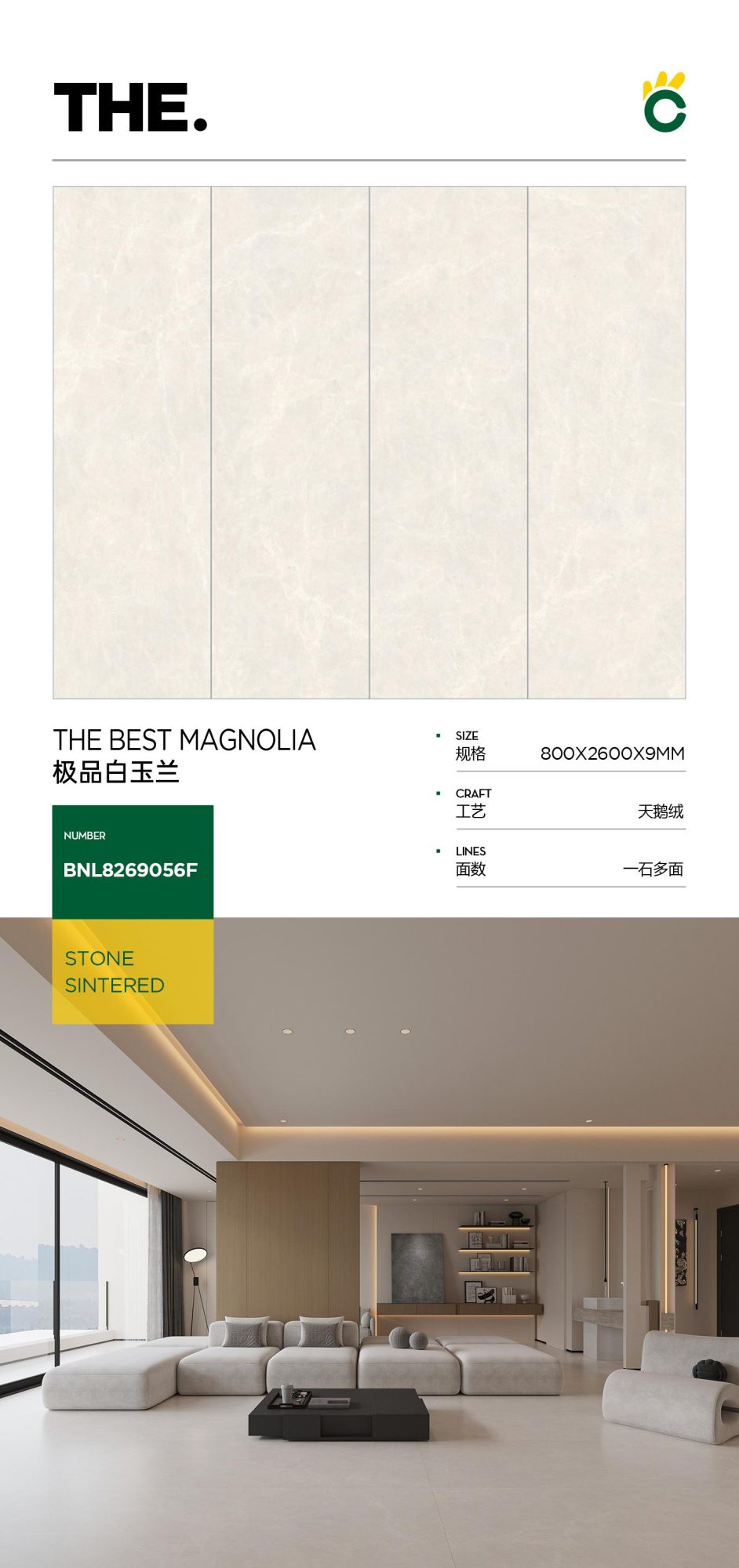 The best white magnolia 8269056F image 1