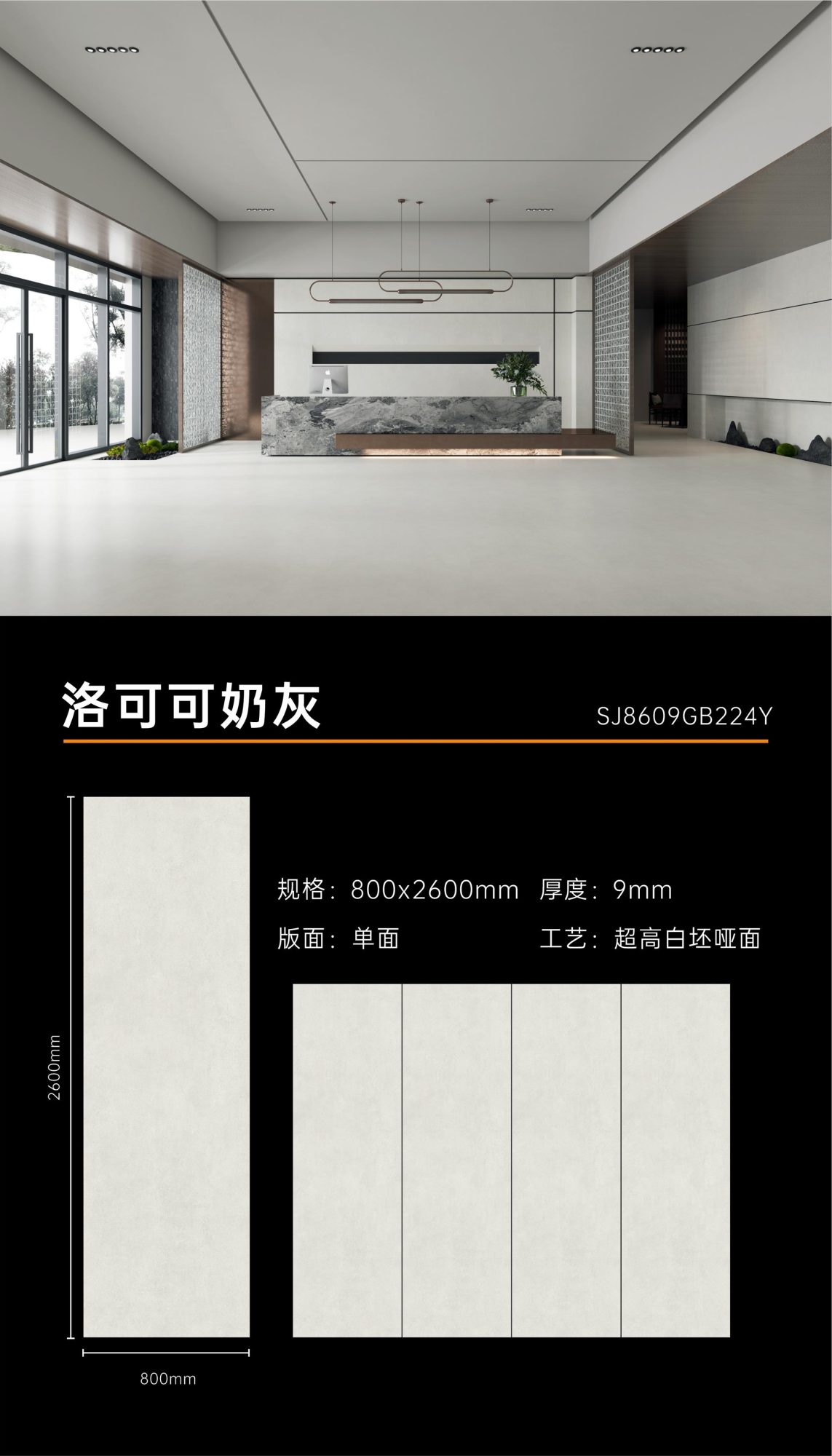 Rococo milk gray 8609GB224Y image 1
