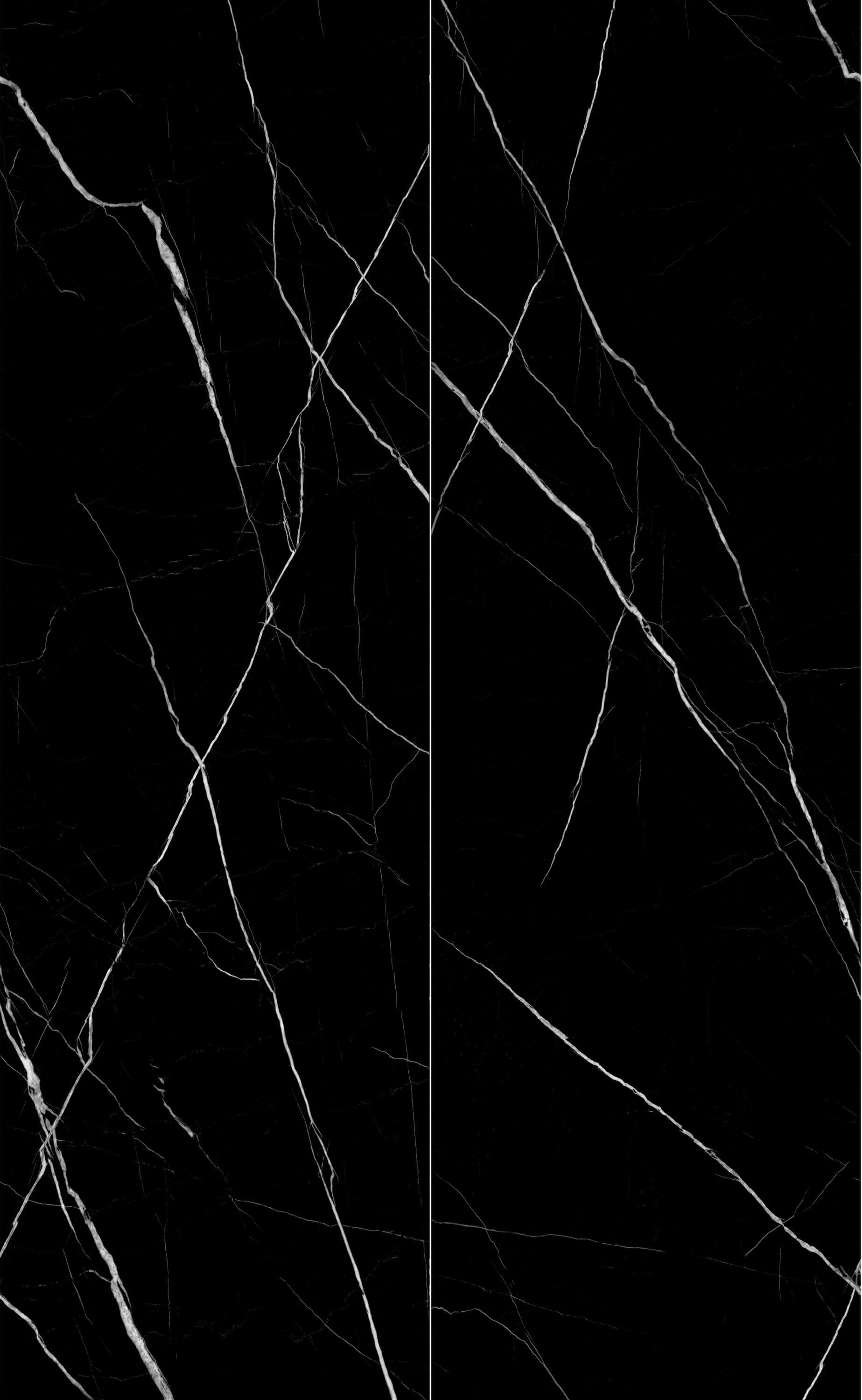 Top quality black and white roots 8609H7023Y image 2