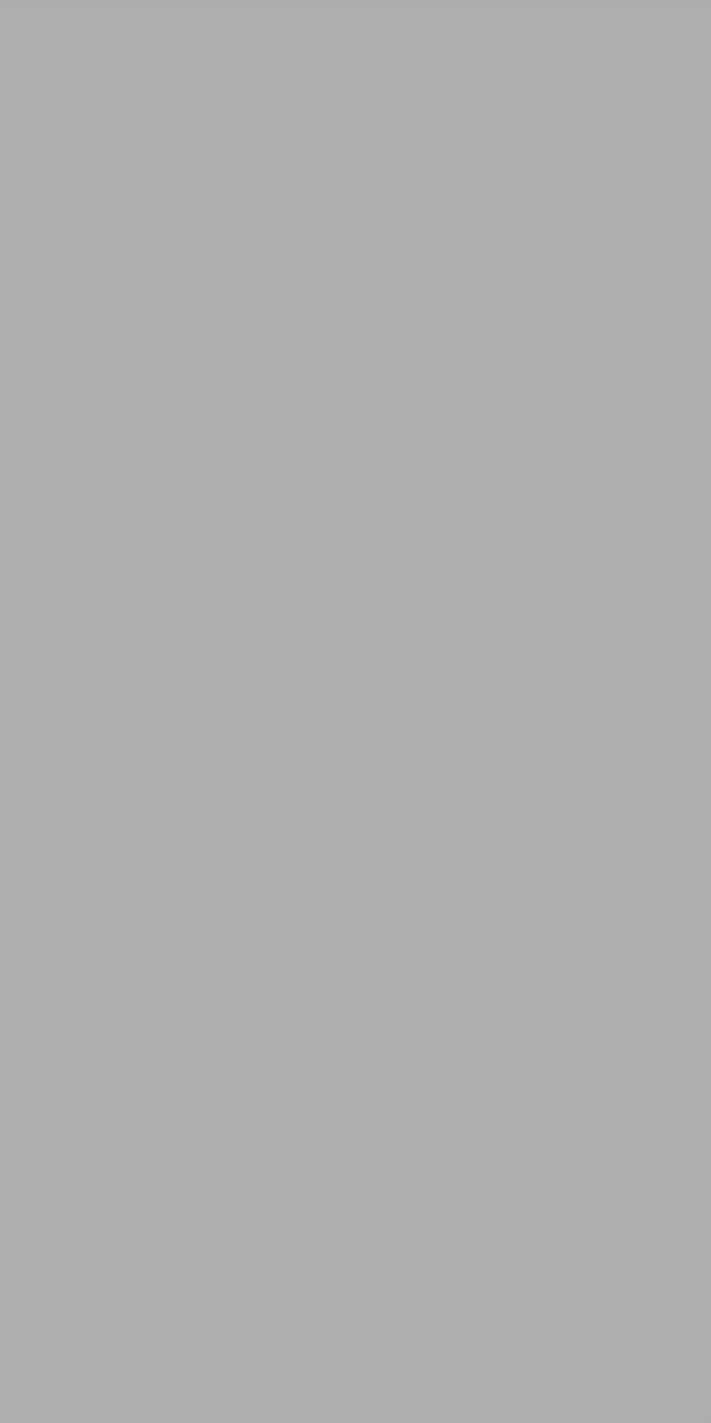 Elegant gray 918006 image 2