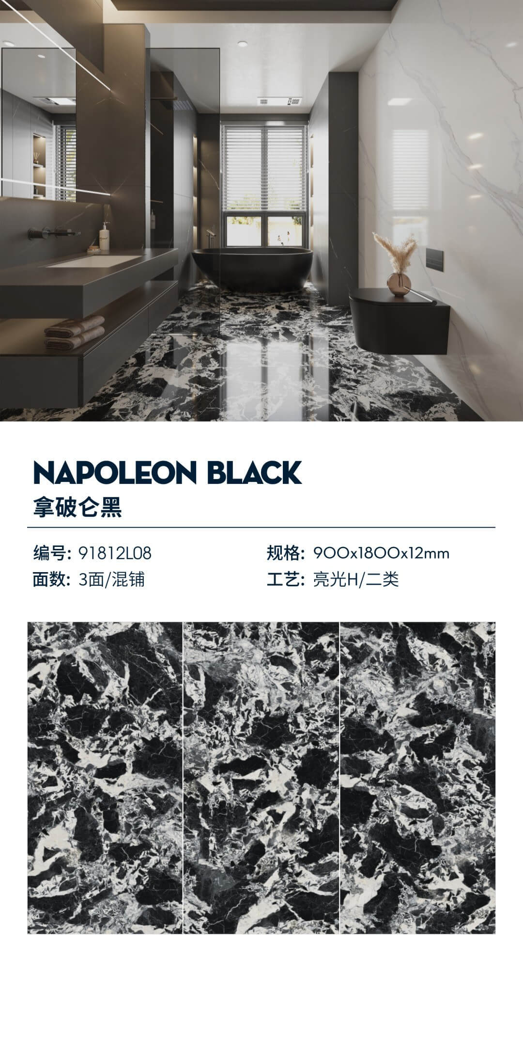 Napoleon black 91812L08 image 1